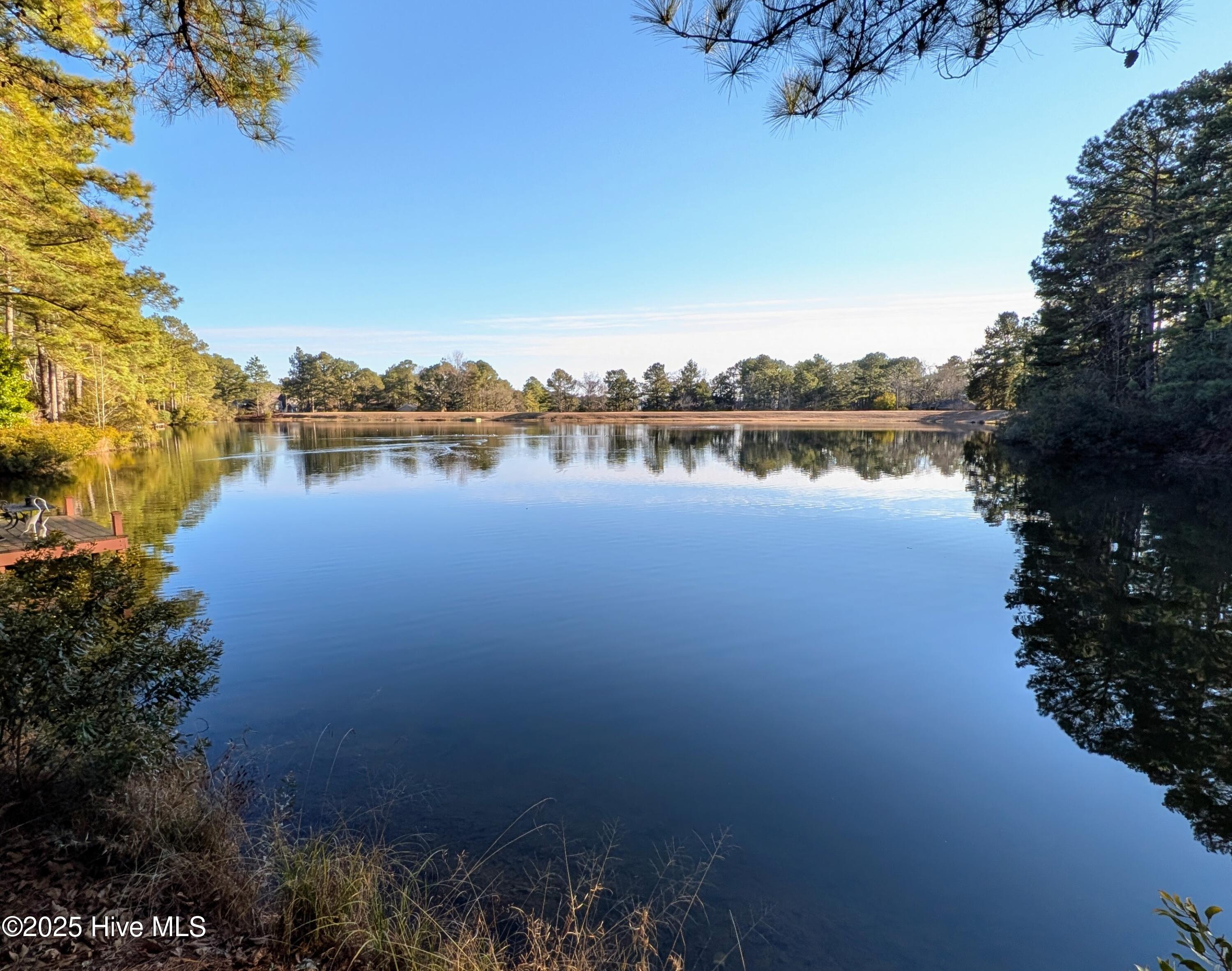 Homes for sale in Pinehurst, NC | 350 Pine Vista Dr, Pinehurst, NC 28374 | MLS# 100483825