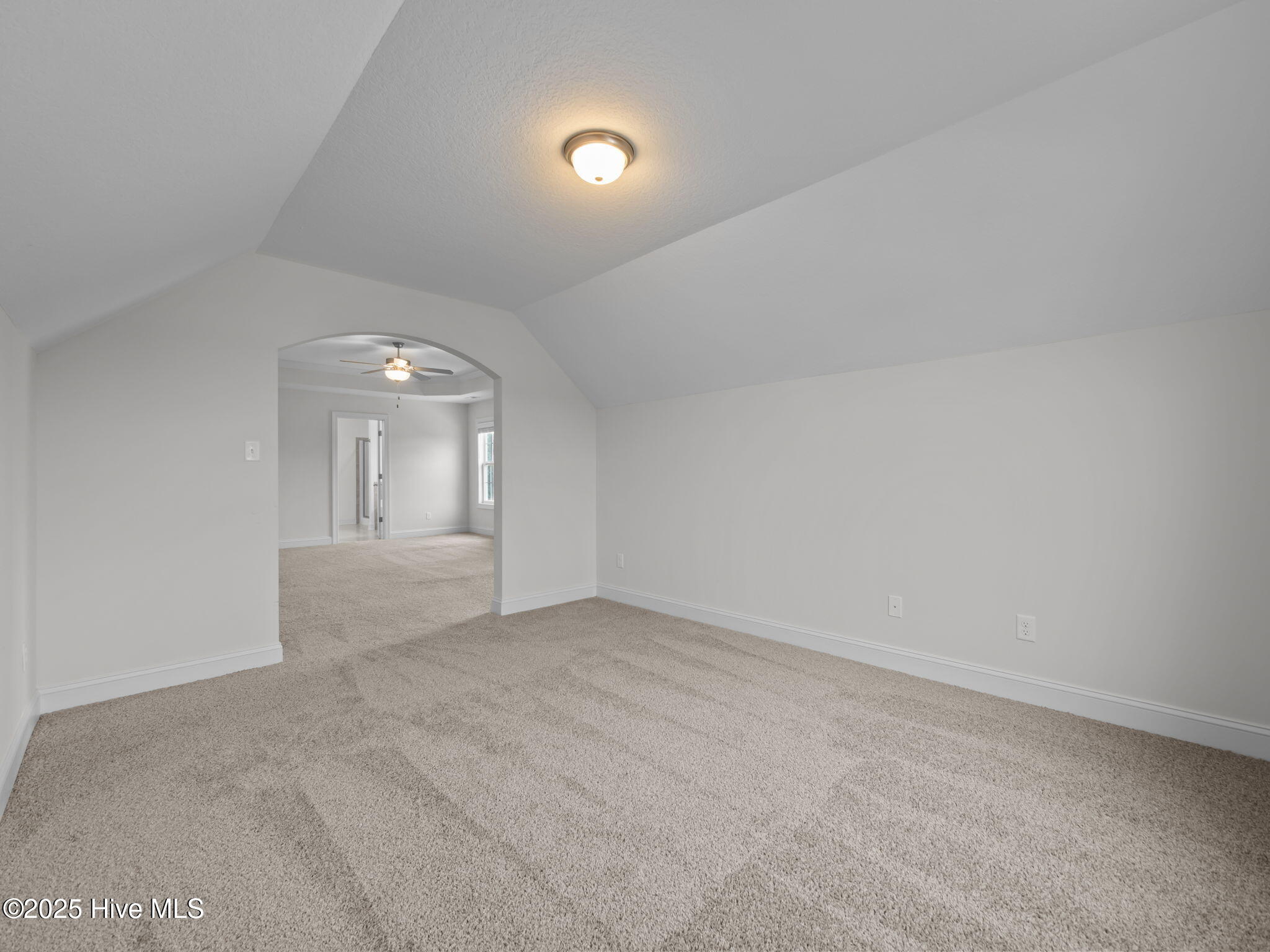 100536873 | Photo 33