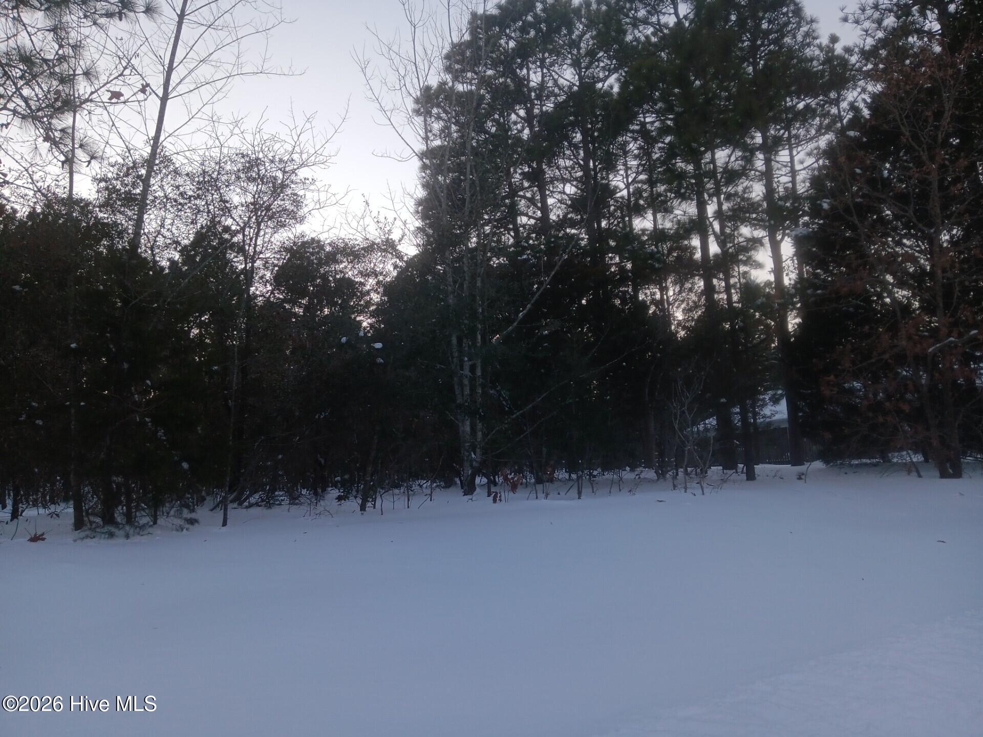 Homes for sale in Southern Pines, NC | 105 Steeplechase Wy, Southern Pines, NC 28387 | MLS# 100552384