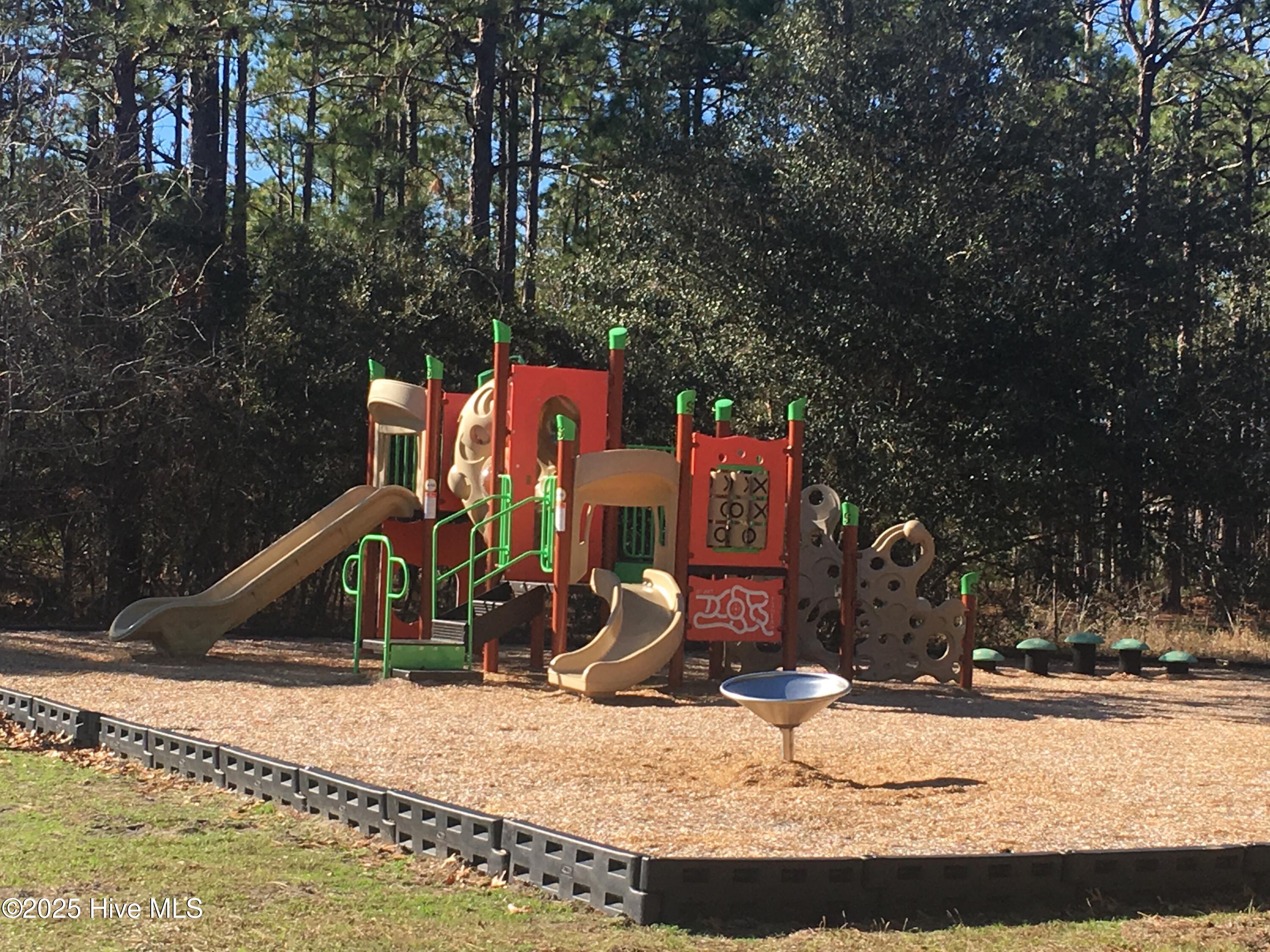 100517847 | Photo 32