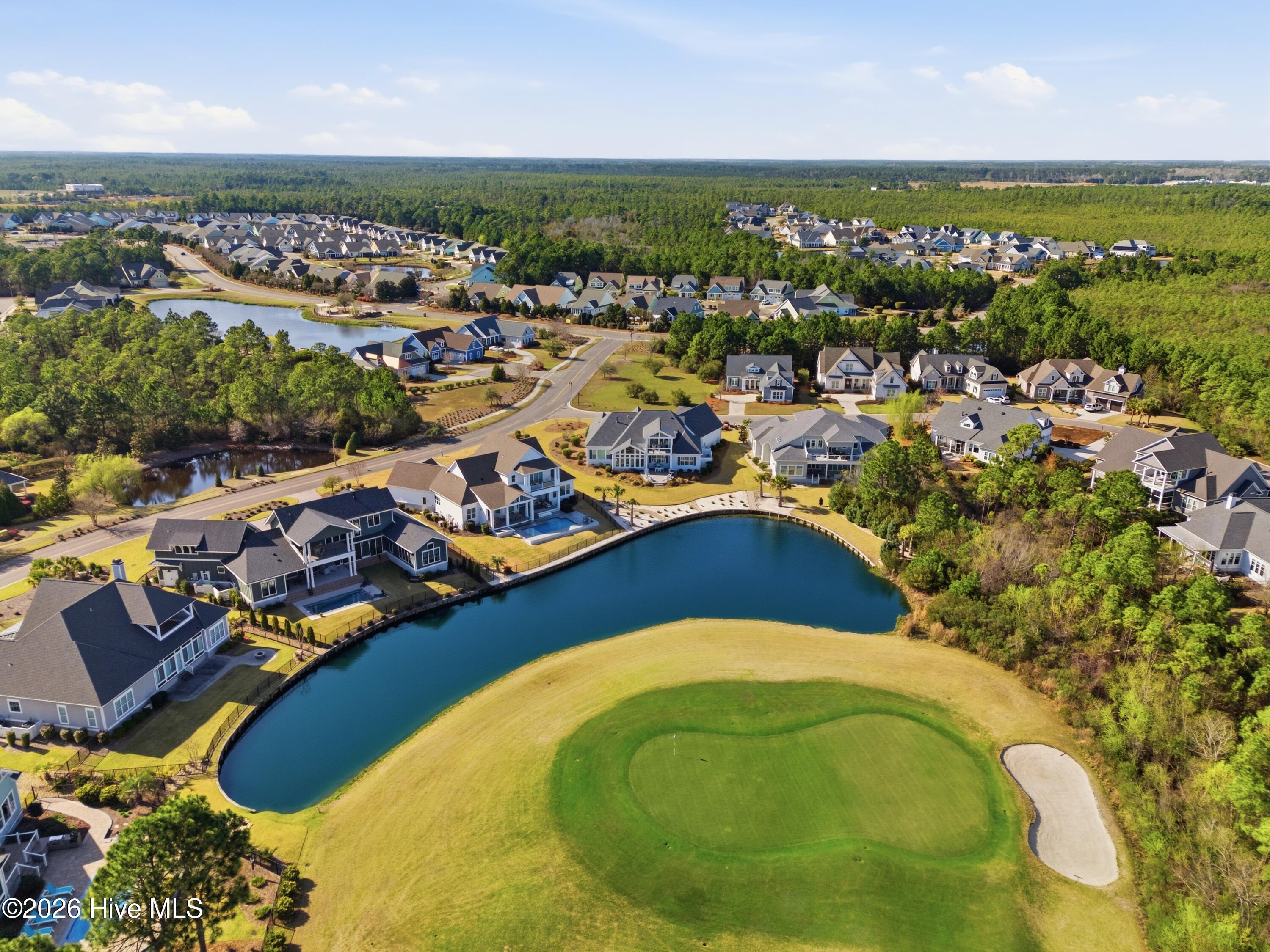 100560697 | Photo 82