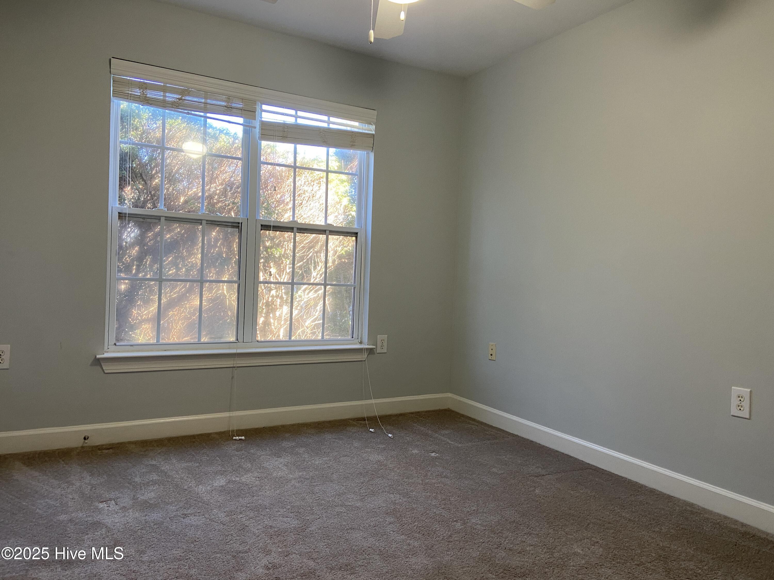 100546952 | Photo 12