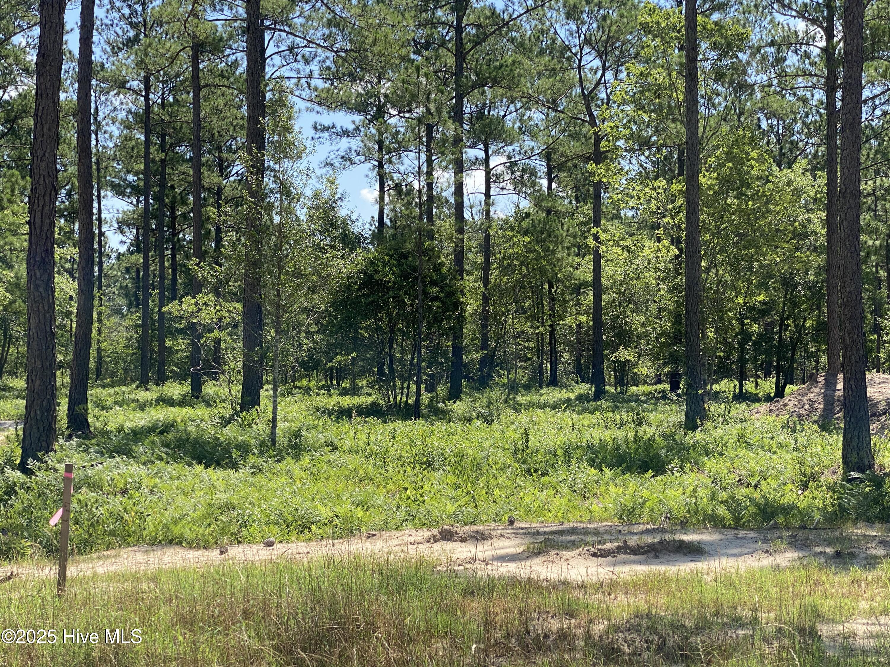 8750 Compass Pointe West Wynd NE, Leland, NC, 28451