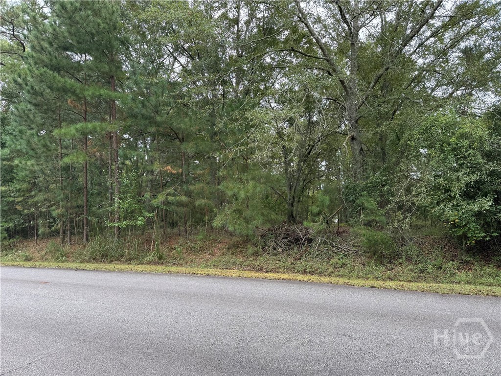 1240 Summit Drive, Watkinsville, GA, 30677