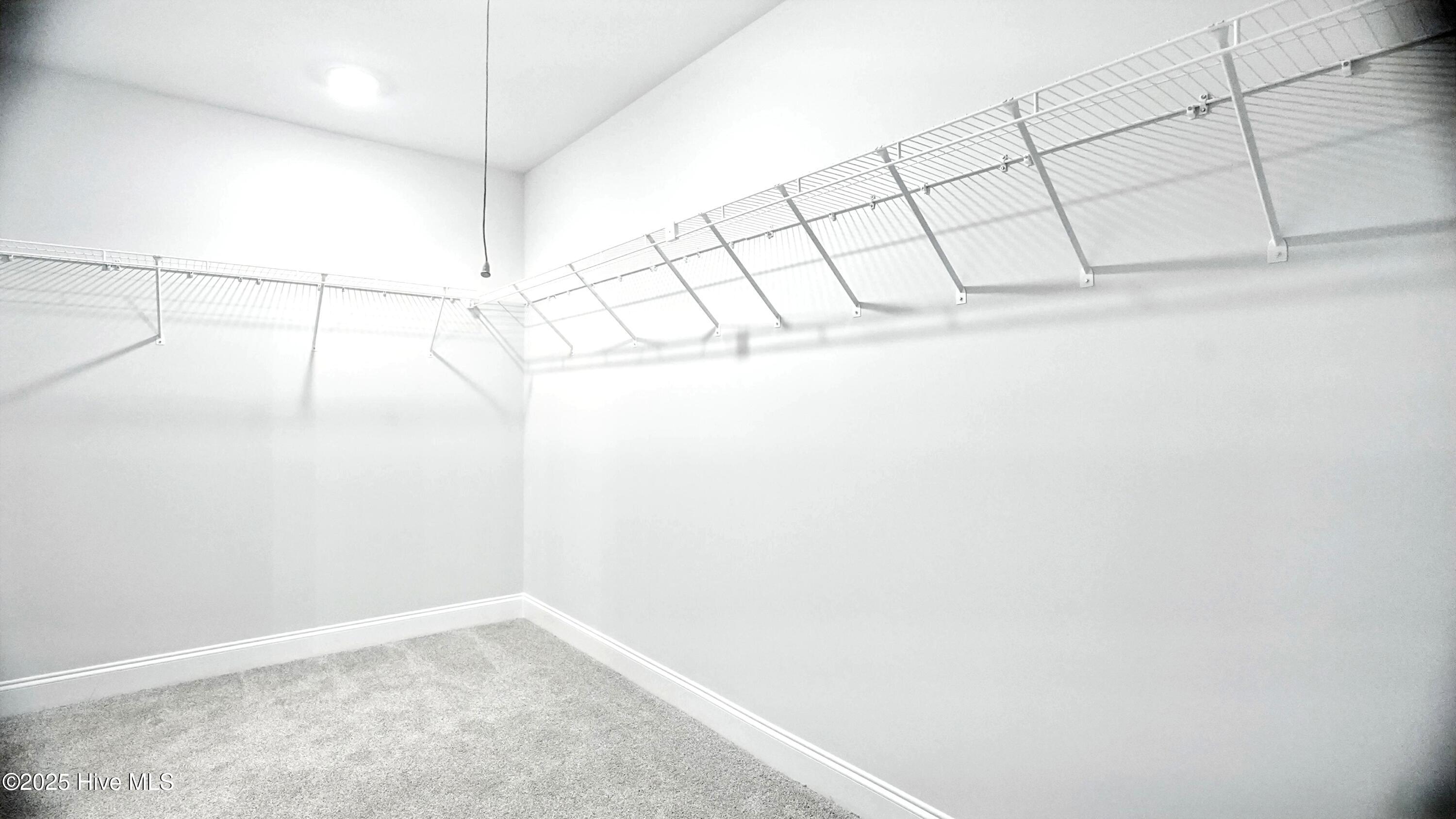 100424316 | Photo 19