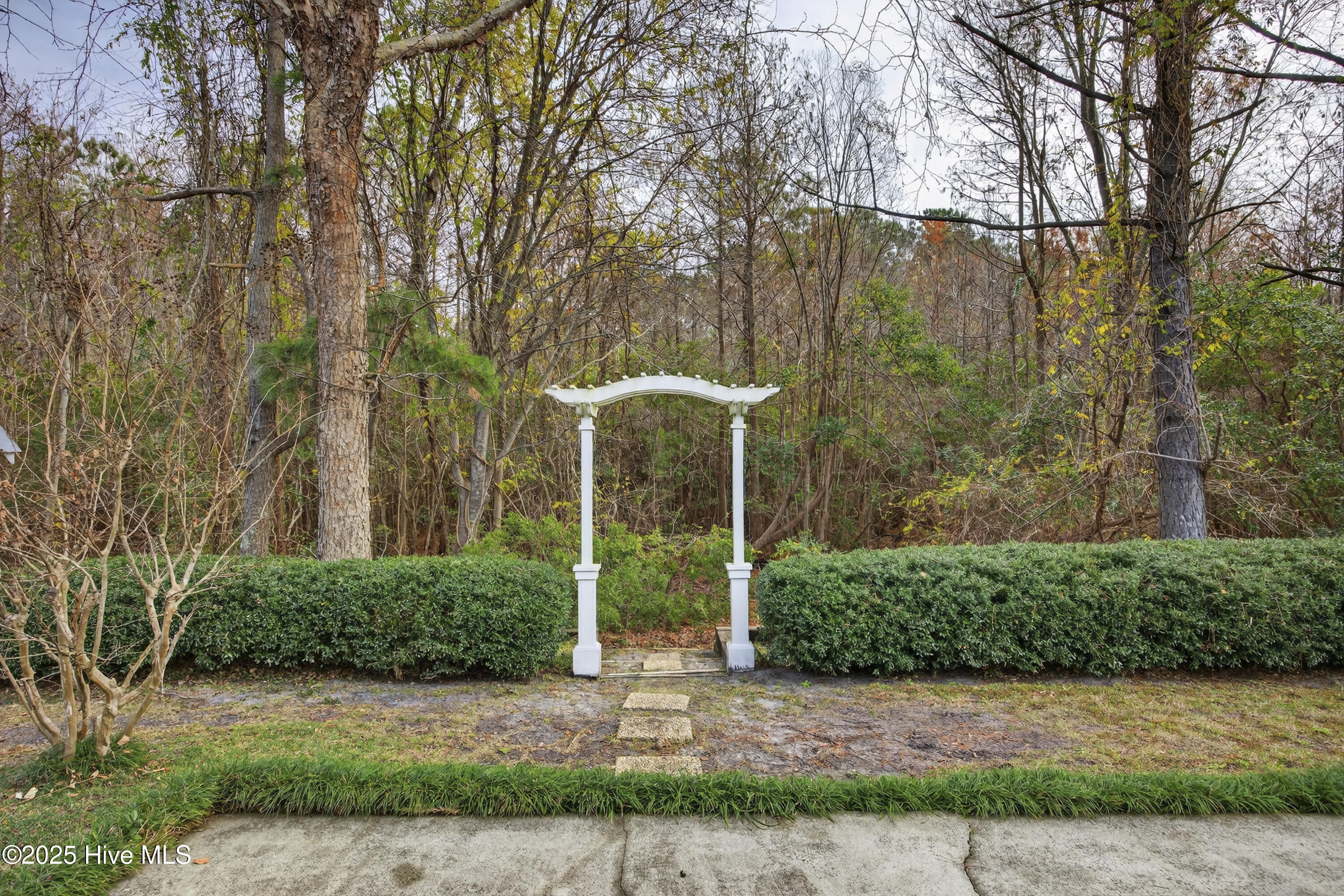 100543096 | Photo 25