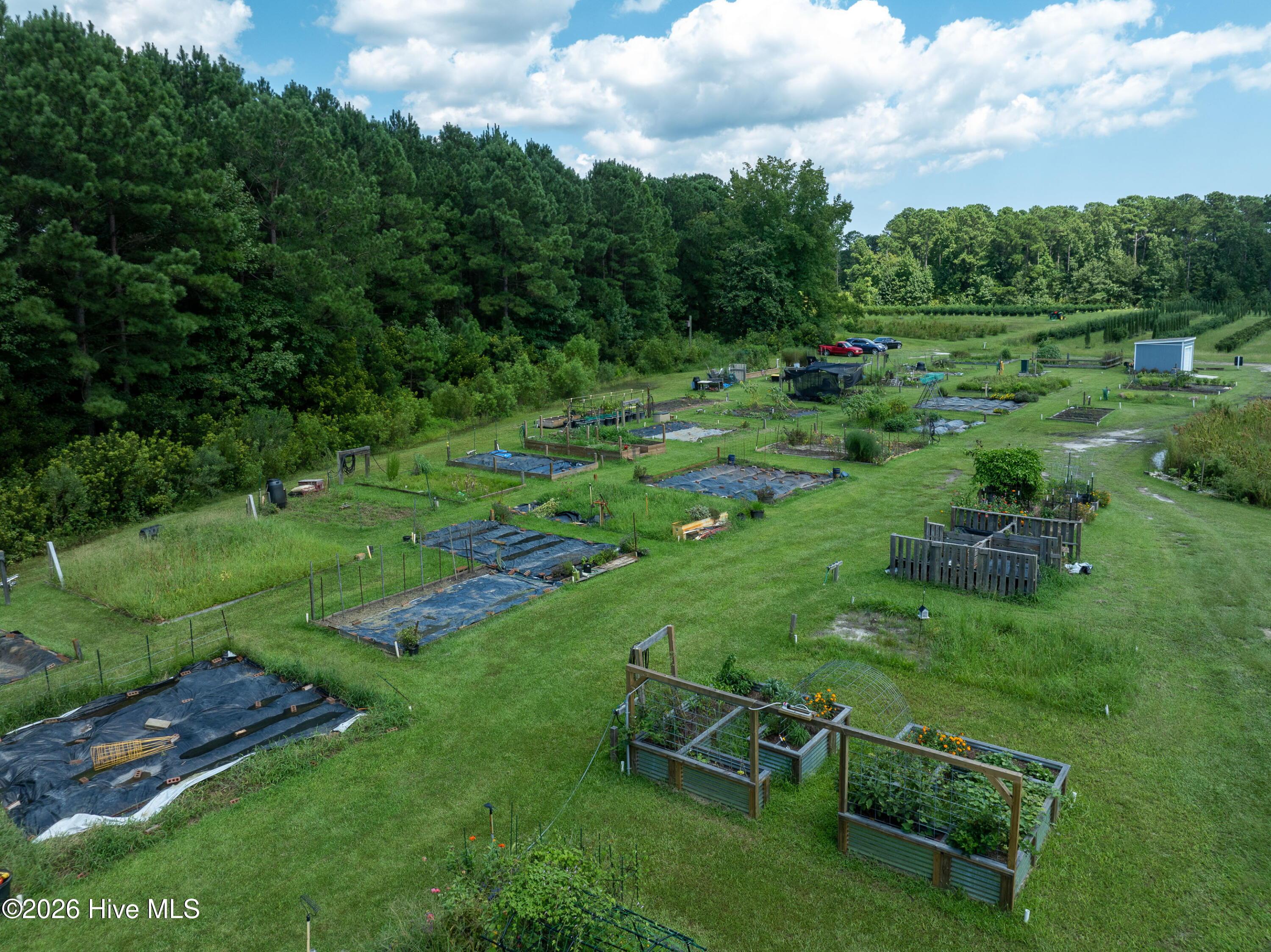 100444690 | Photo 19