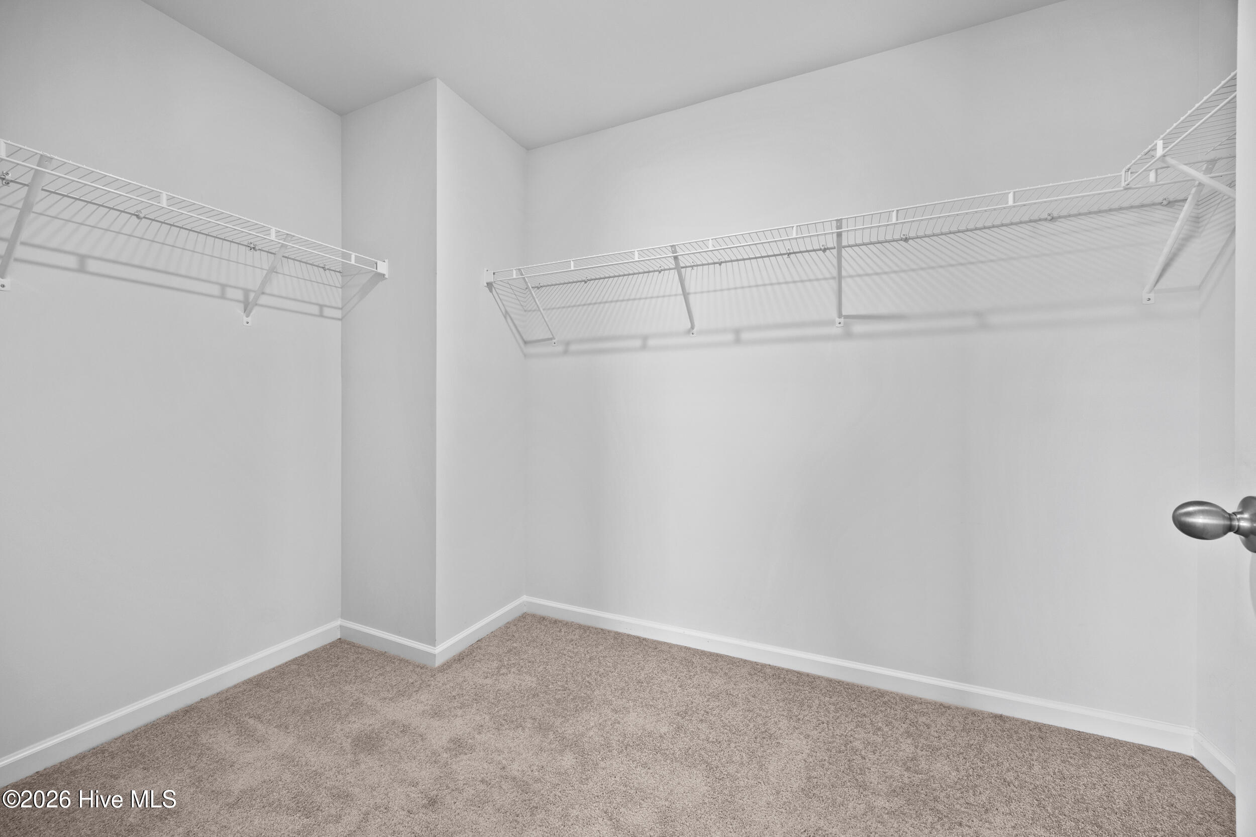 100556435 | Photo 25