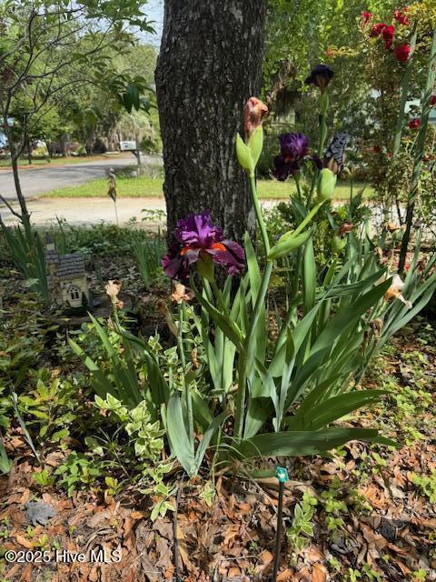 100513257 | Photo 72