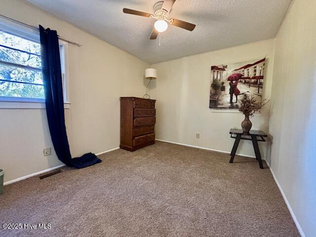 100544105 | Photo 20