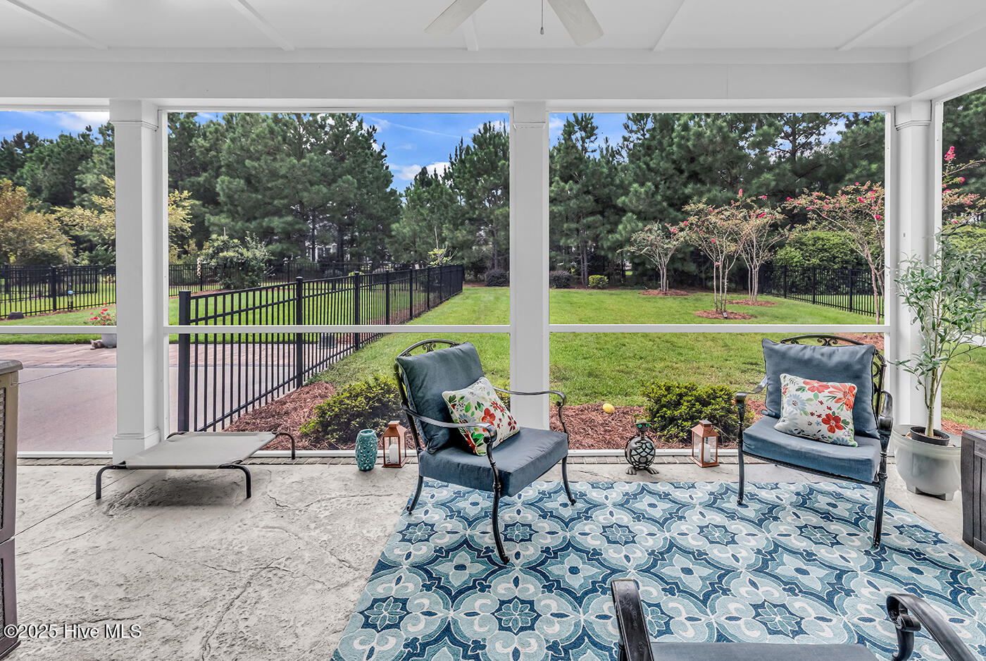 100529992 | Photo 35