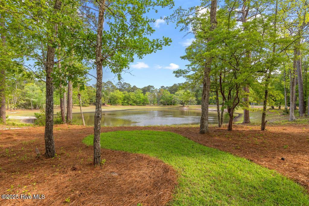 100535859 | Photo 43