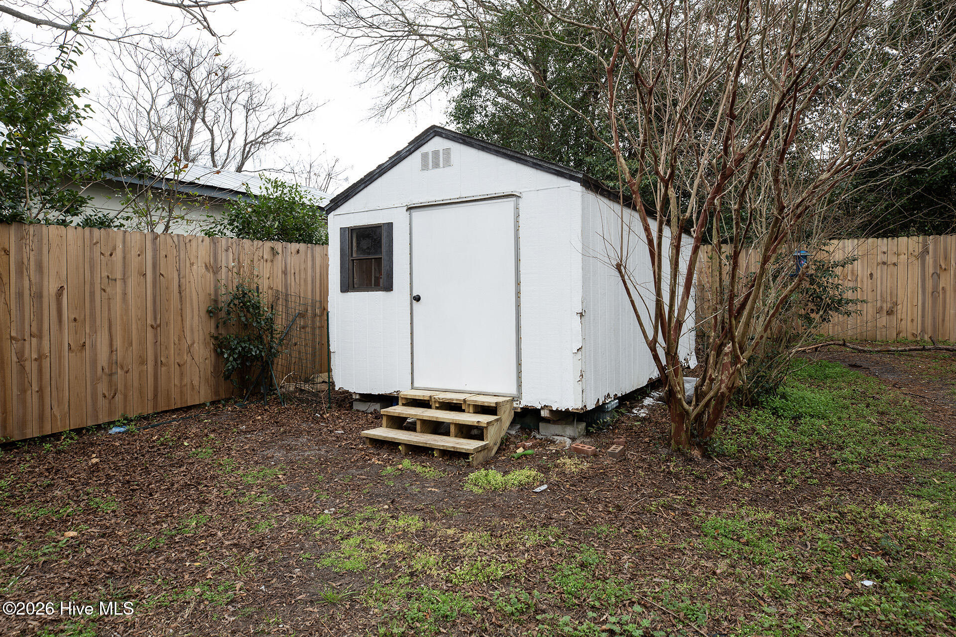 100558477 | Photo 38