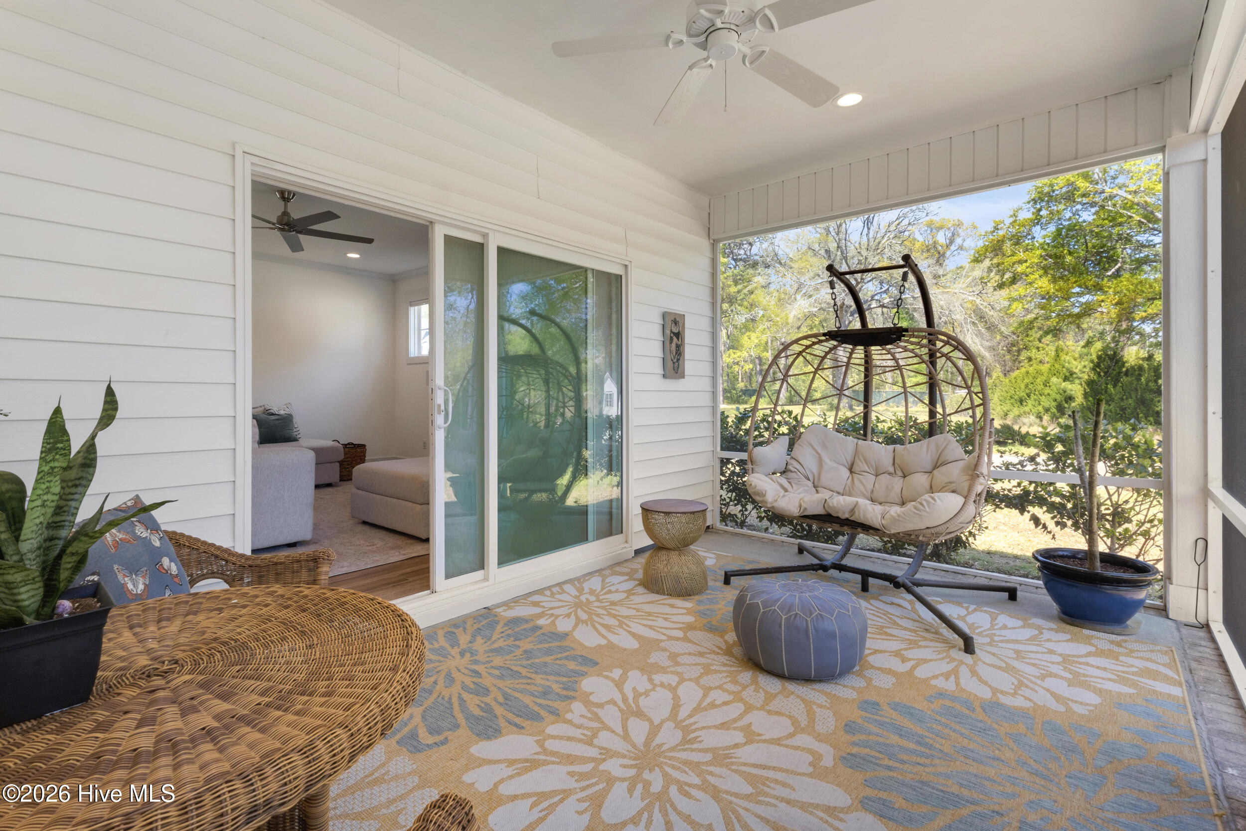 100564391 | Photo 33