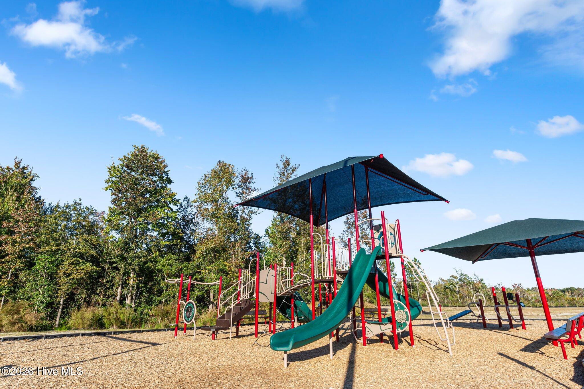 100554409 | Photo 45