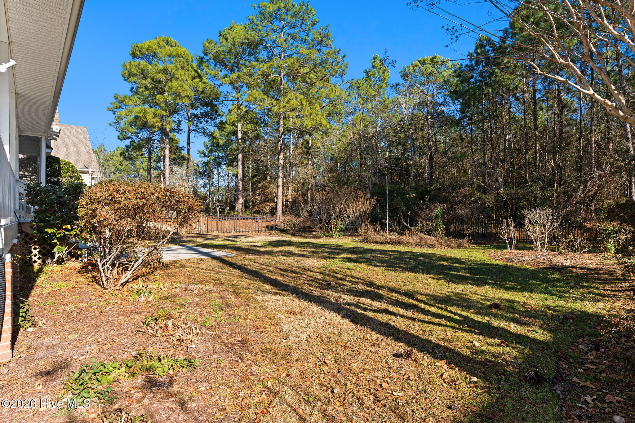 100551669 | Photo 64