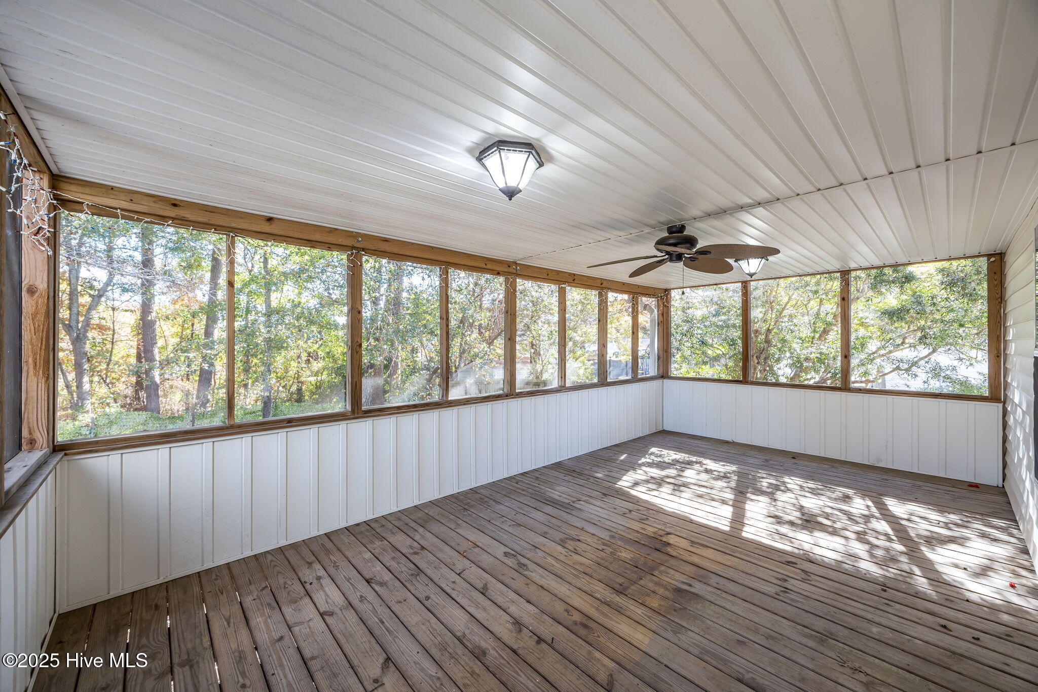 100541595 | Photo 44