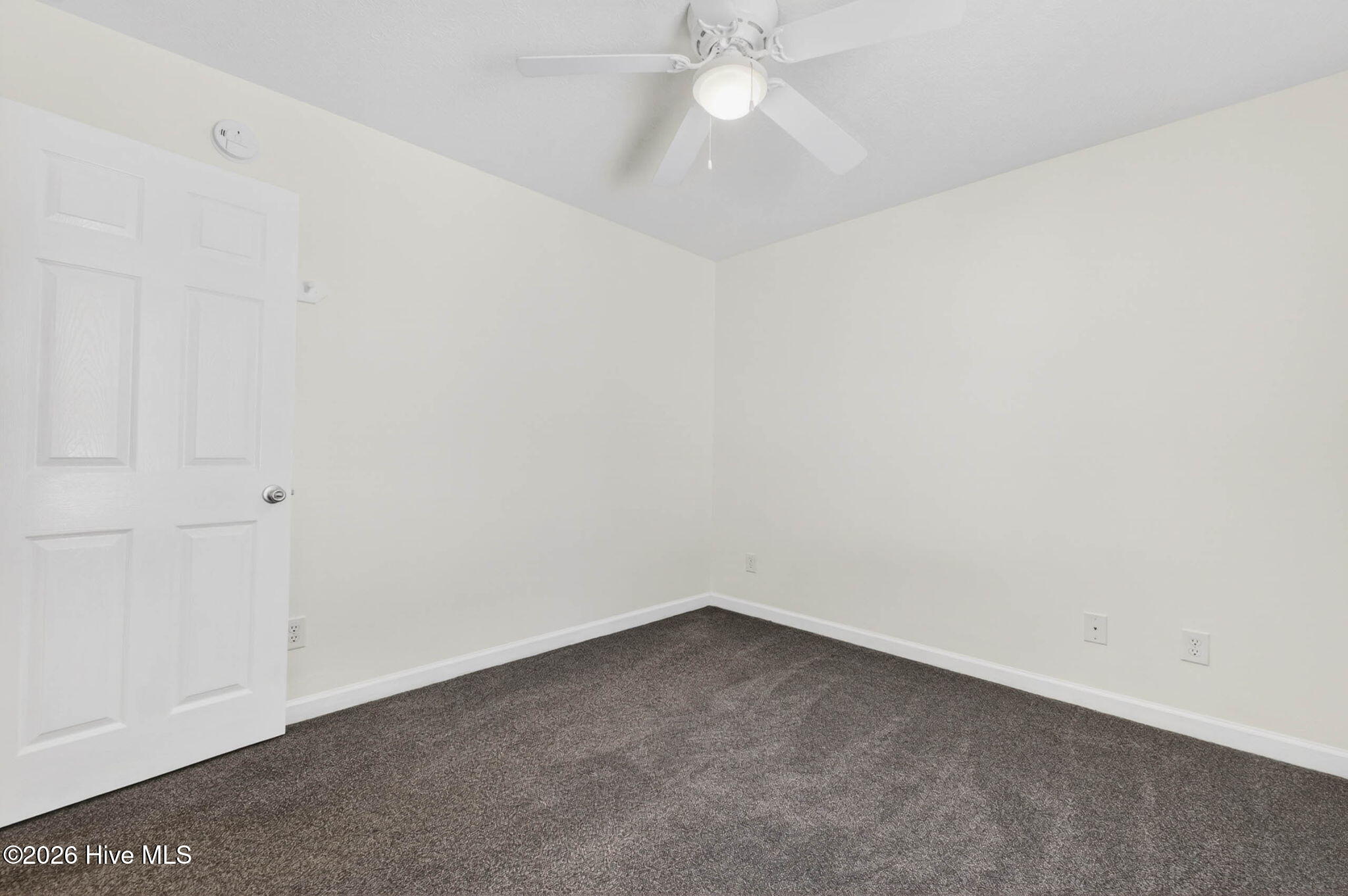 100568924 | Photo 20