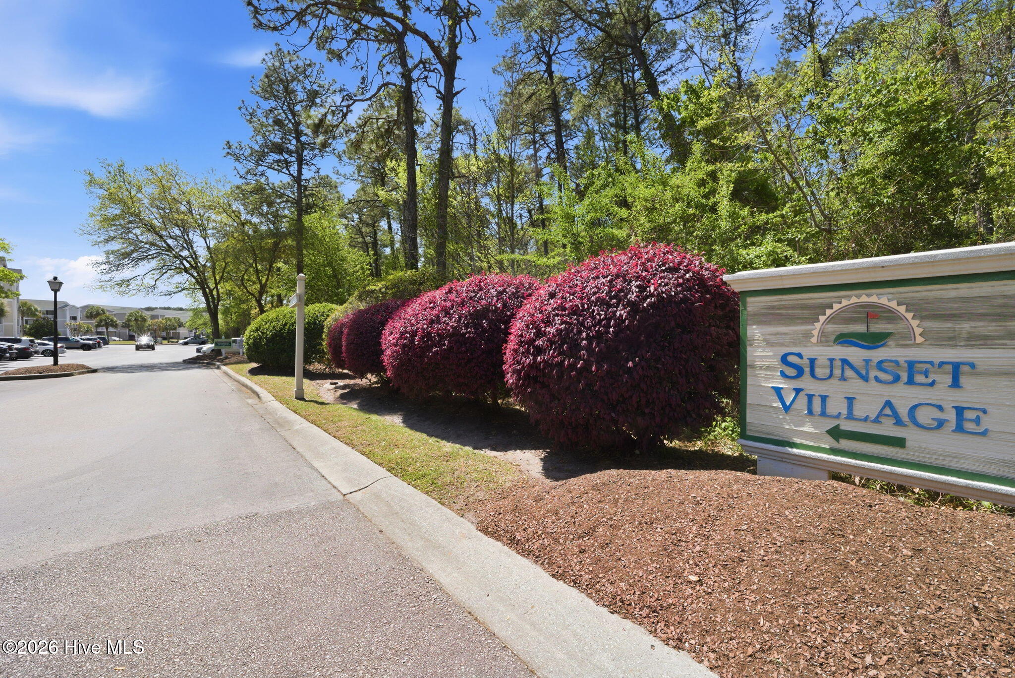 100567159 | Photo 24