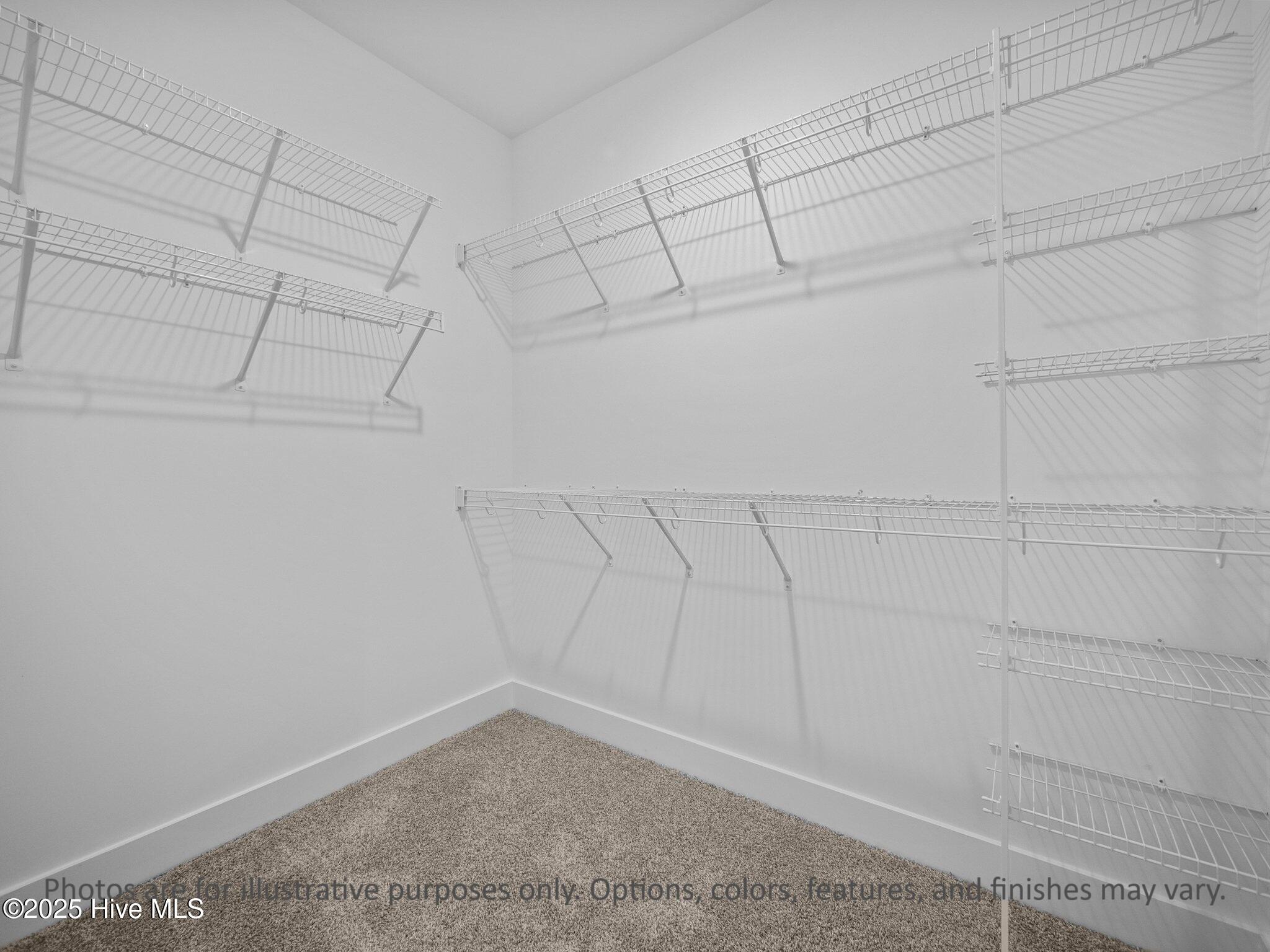 100536099 | Photo 28