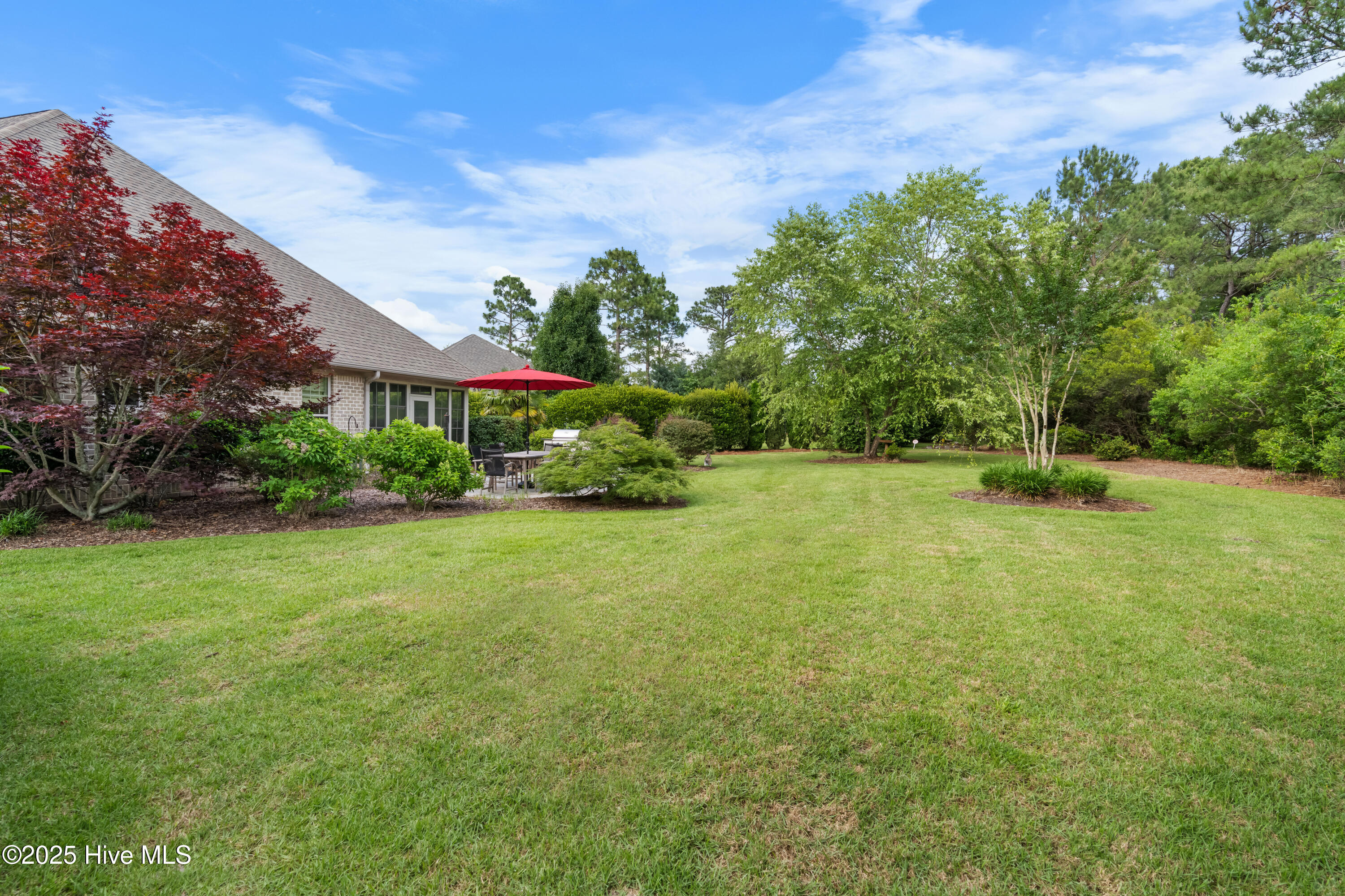 100510416 | Photo 39