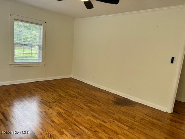 100538882 | Photo 18