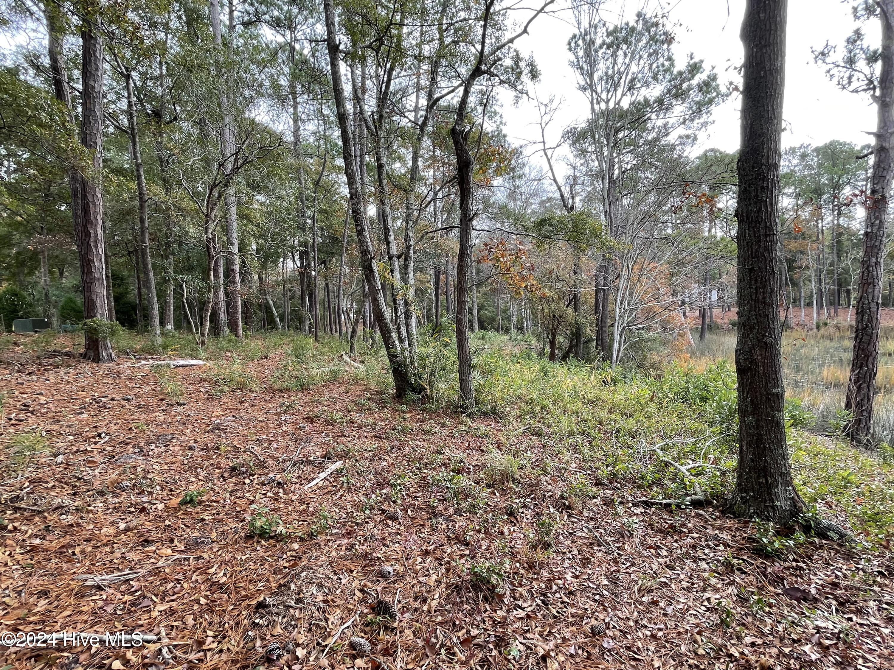 100481360 | Photo 22