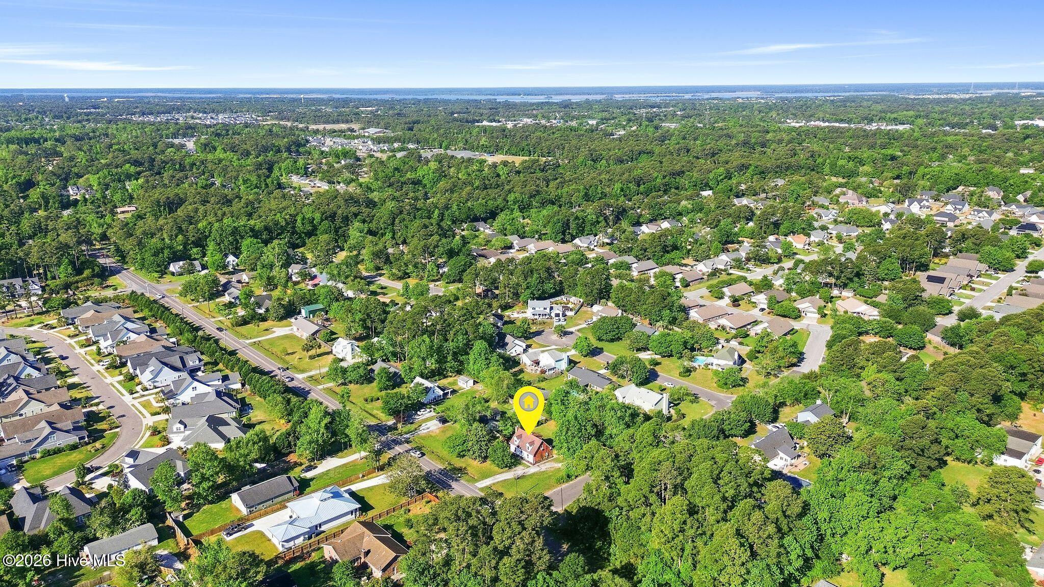 100568902 | Photo 59