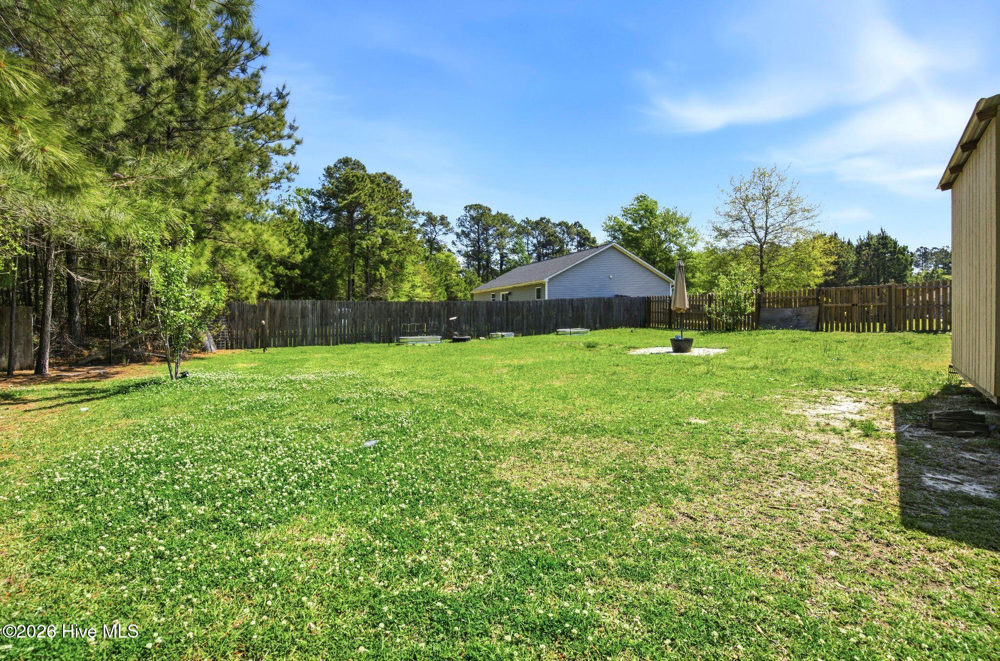 100567407 | Photo 37