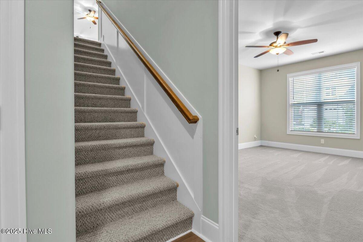 100540967 | Photo 50