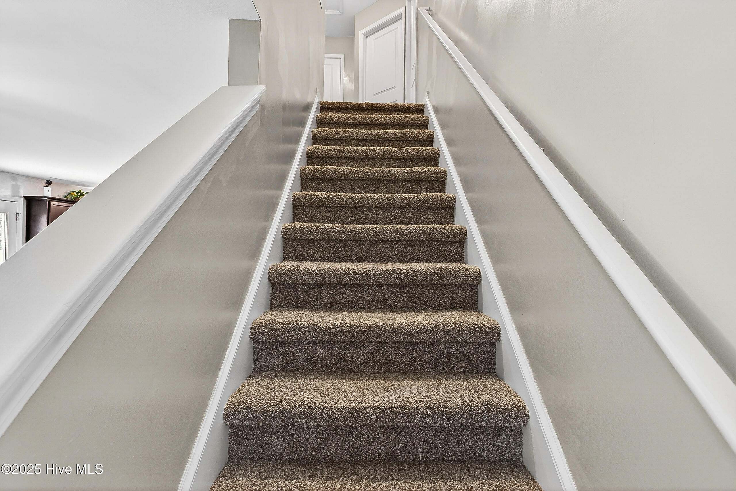 100544724 | Photo 15