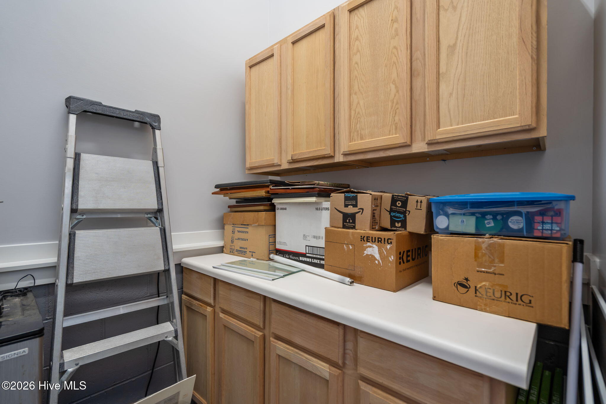 102 Fox Run Drive, Hampstead, NC, 28443