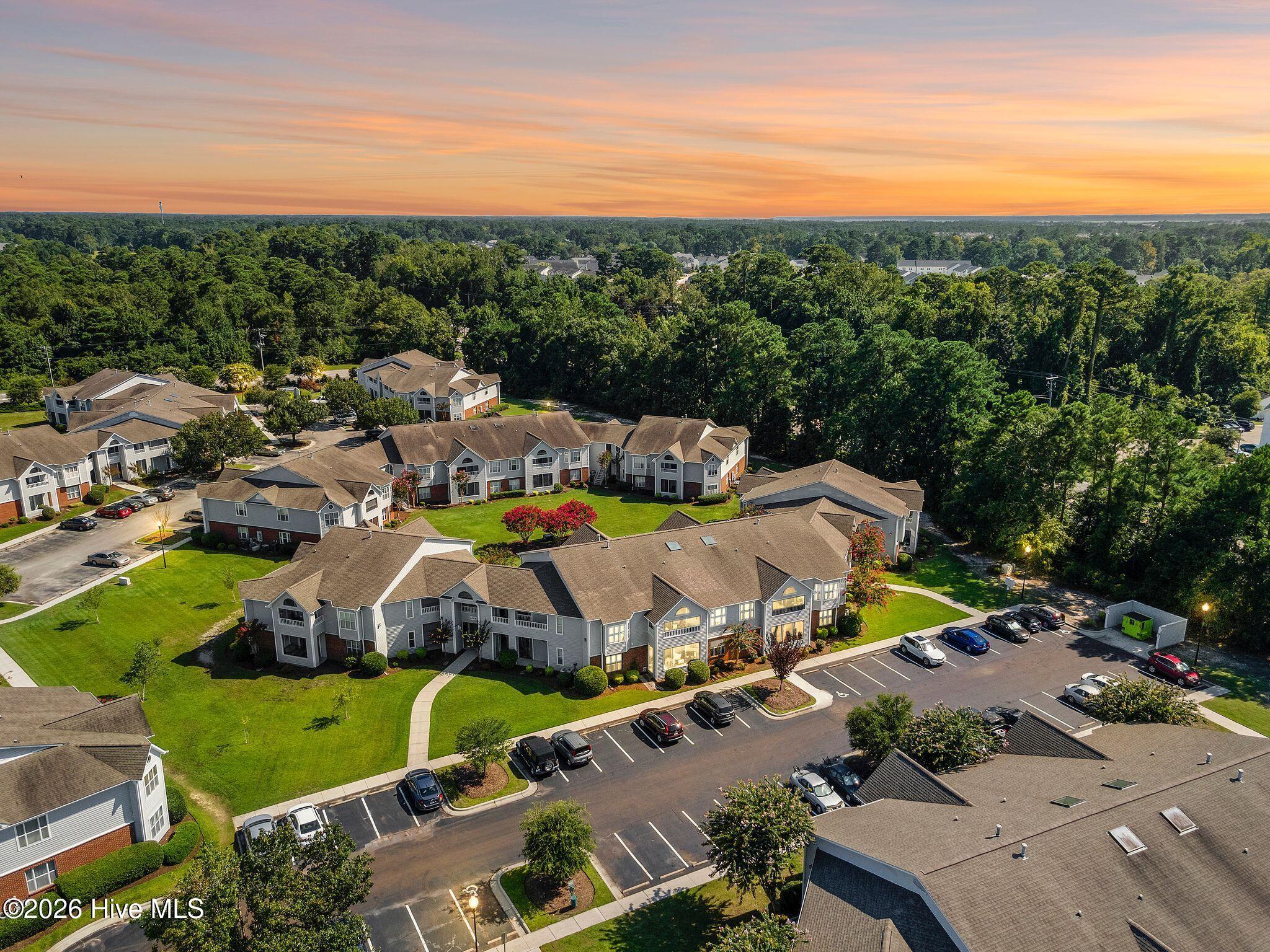 100566564 | Photo 56