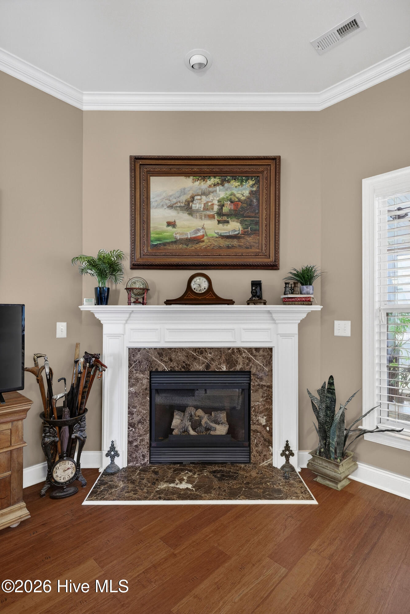 100558563 | Photo 47