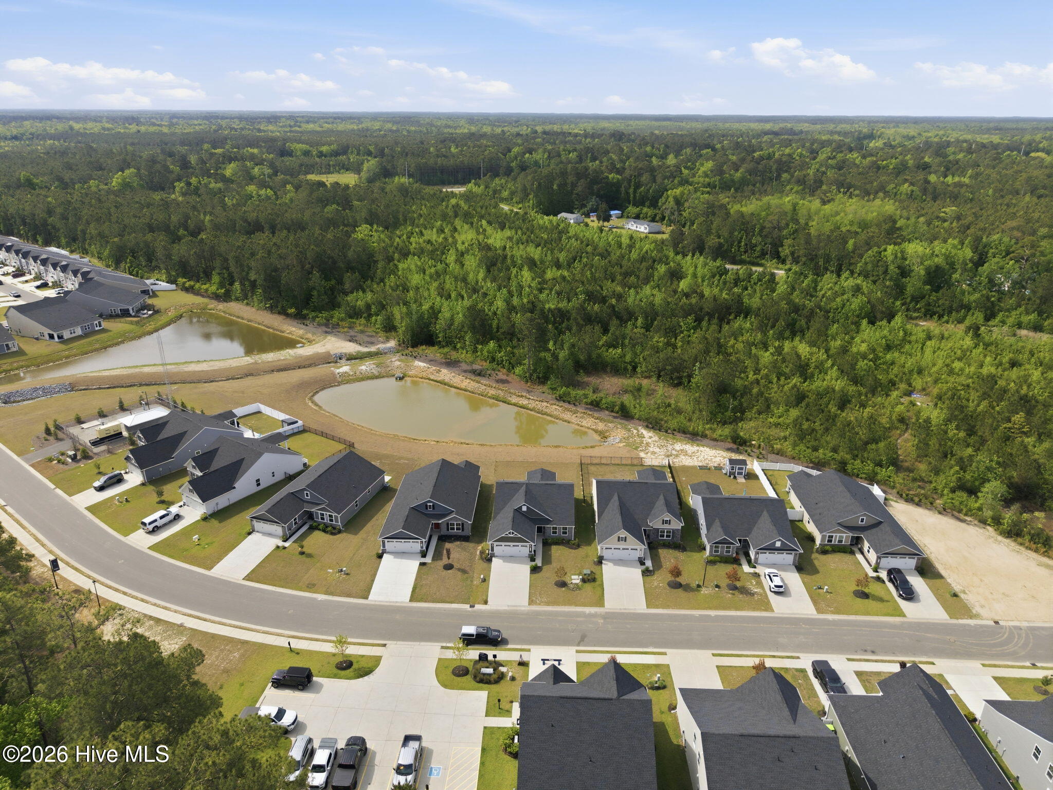 100569541 | Photo 47