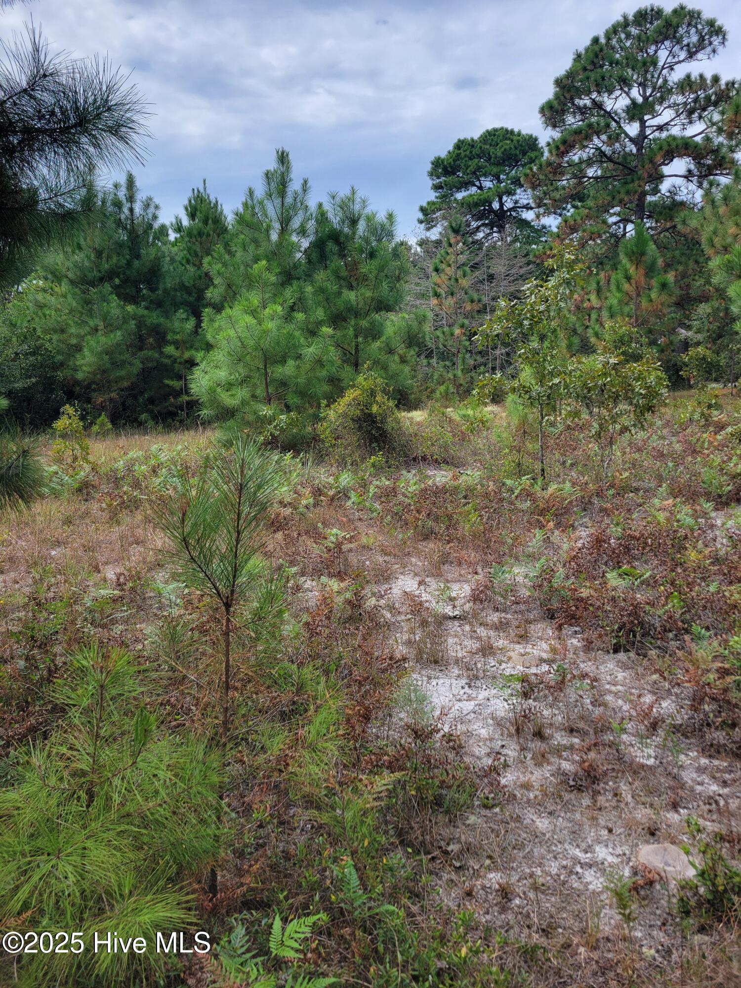 Homes for sale in Harrells, NC | 545 S Horsepen Dr, Harrells, NC 28444 | MLS# 100531349