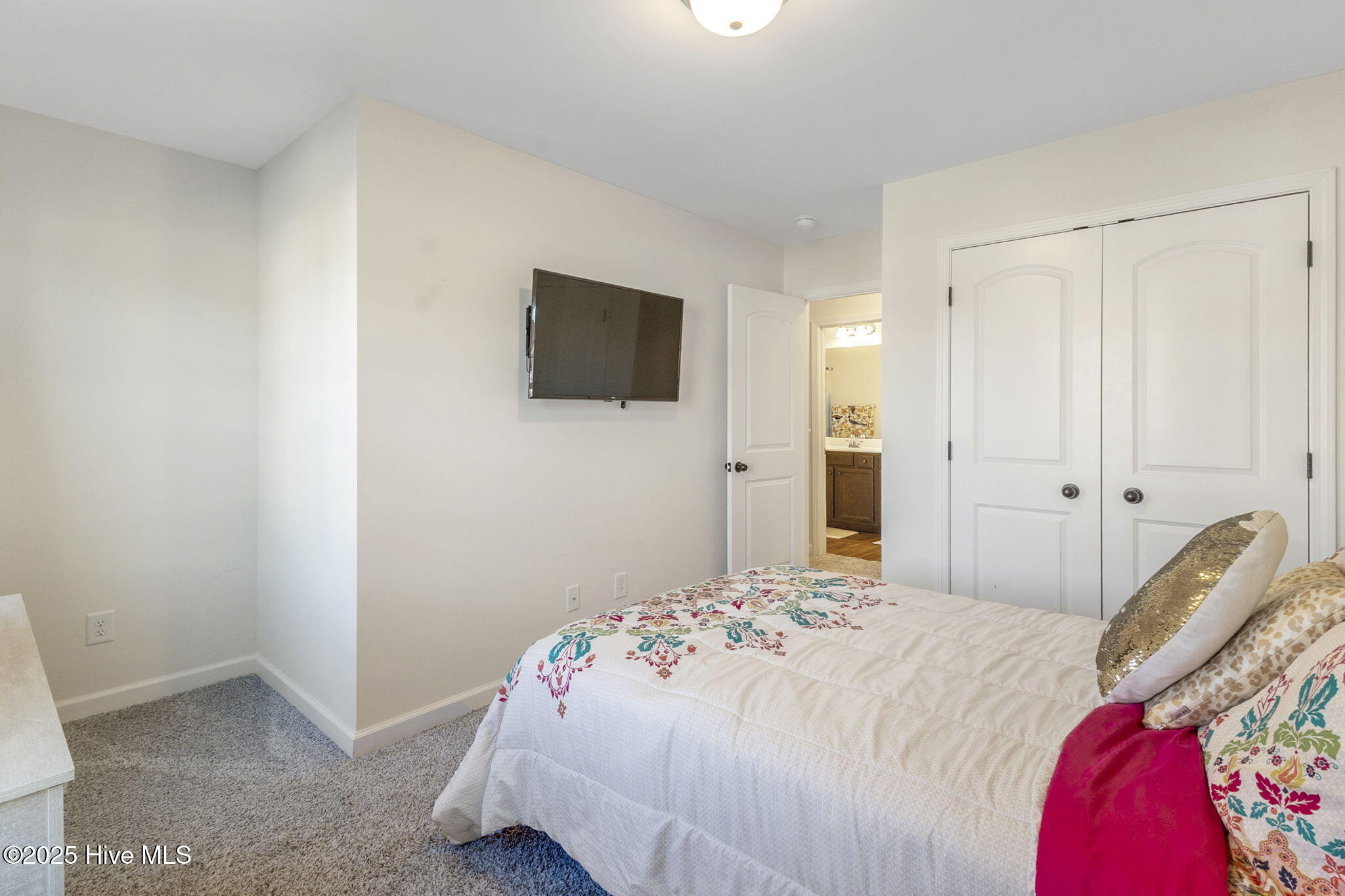 100538262 | Photo 32