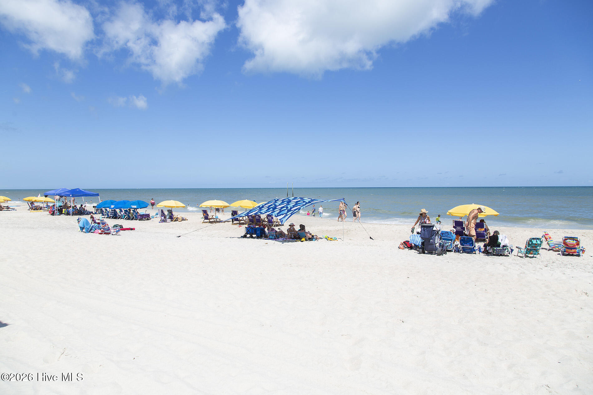 100562975 | Photo 68