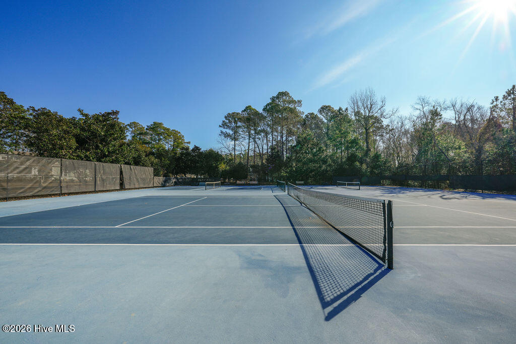 100558623 | Photo 13