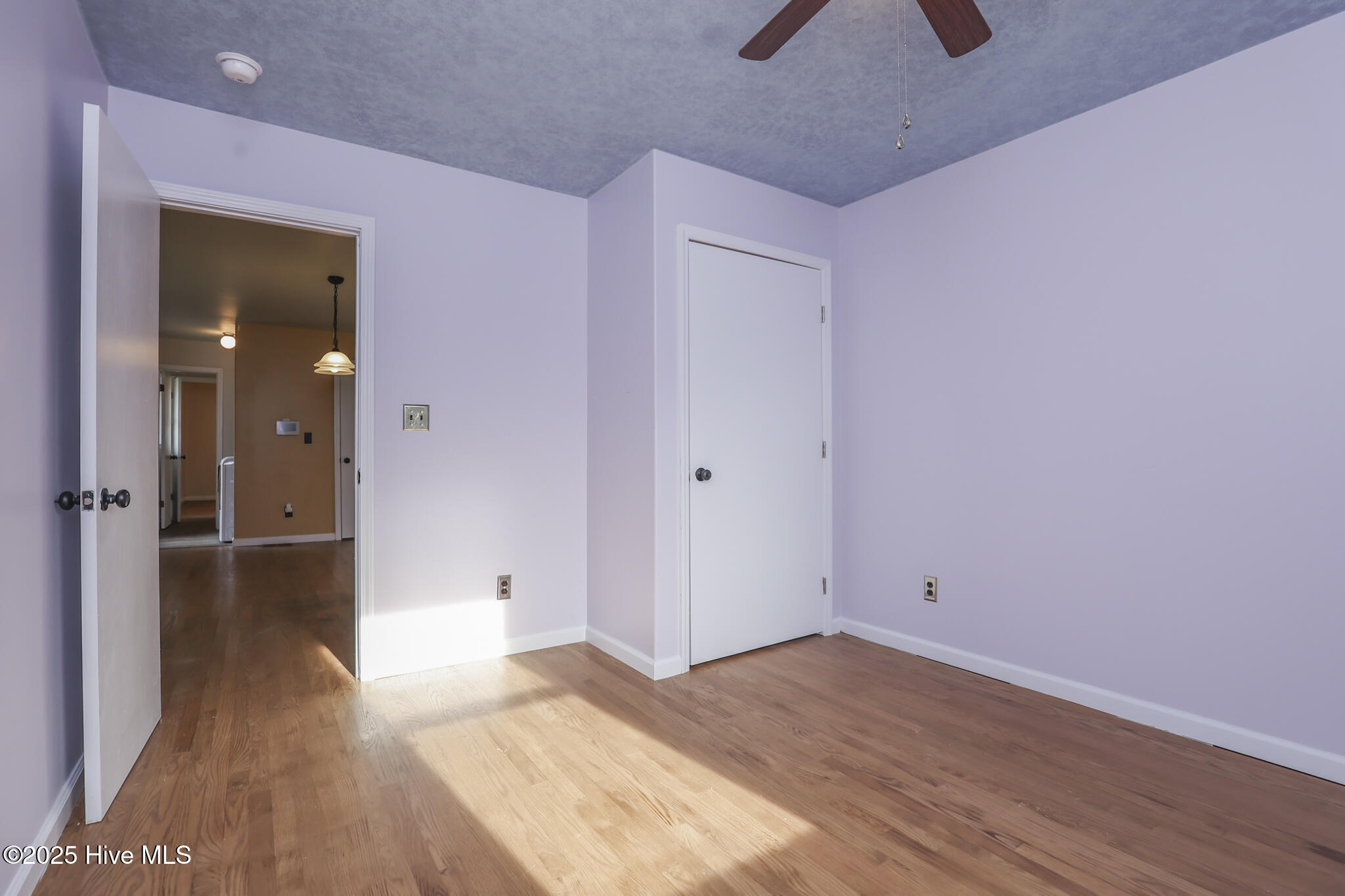 100553205 | Photo 34