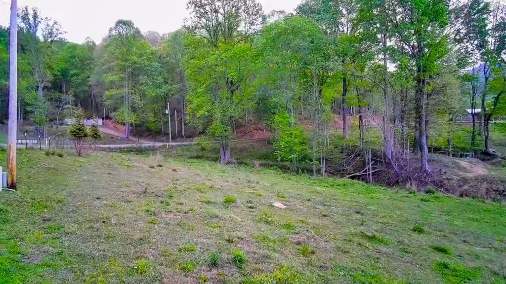 3325 Pack Mountain Road, Murphy, NC 28906 Listing Photo  66