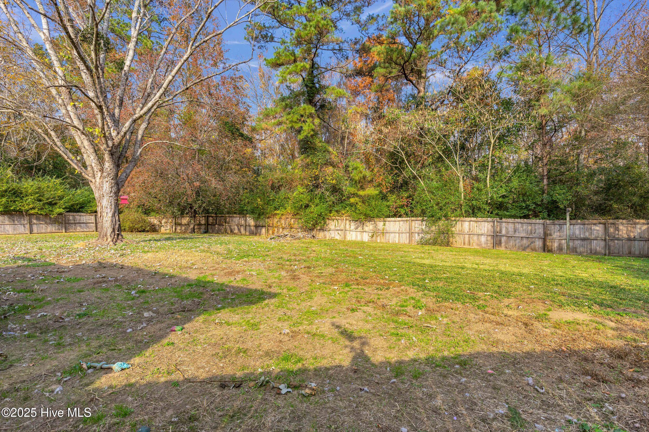 100543256 | Photo 40