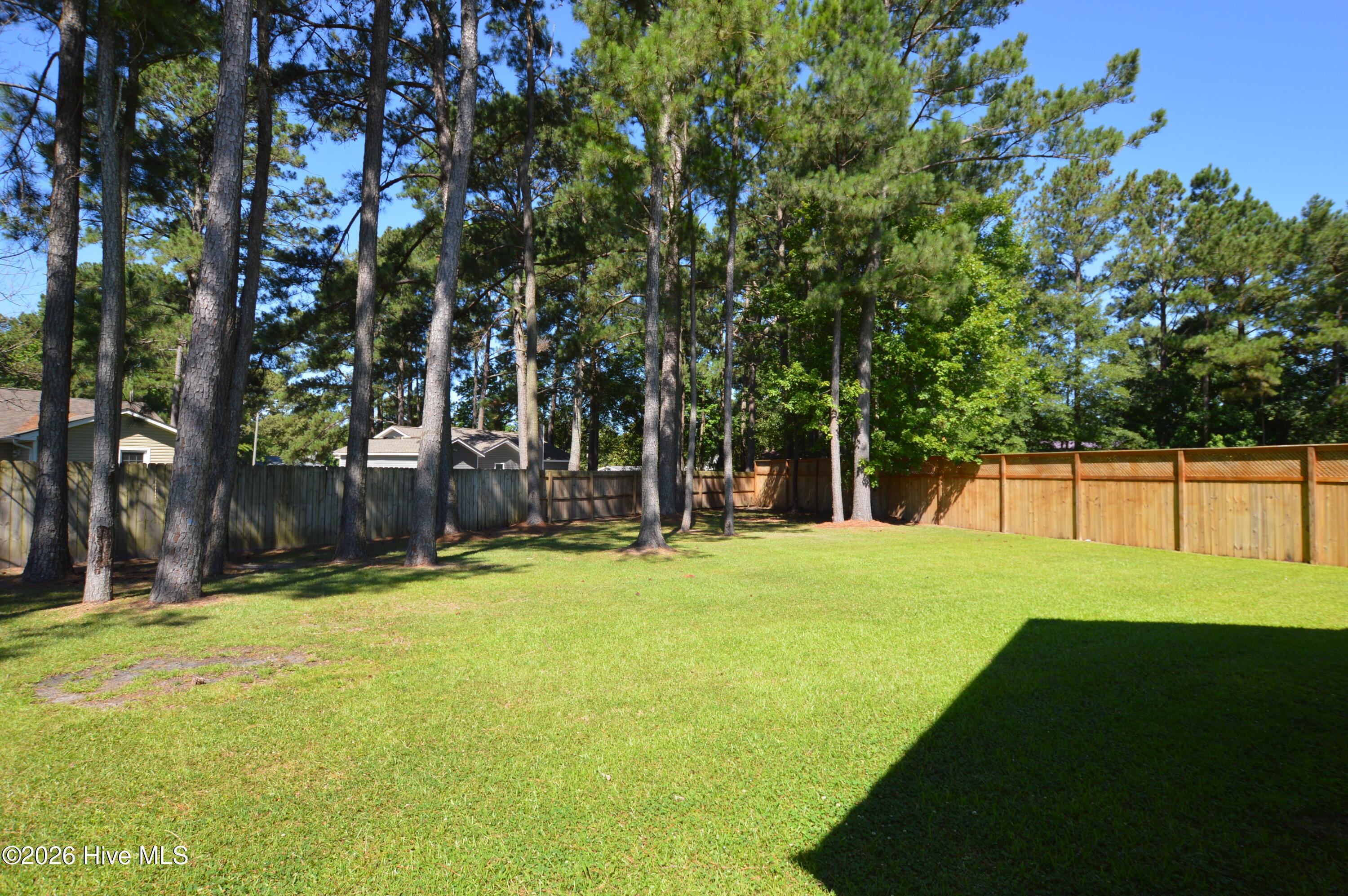 100568550 | Photo 19