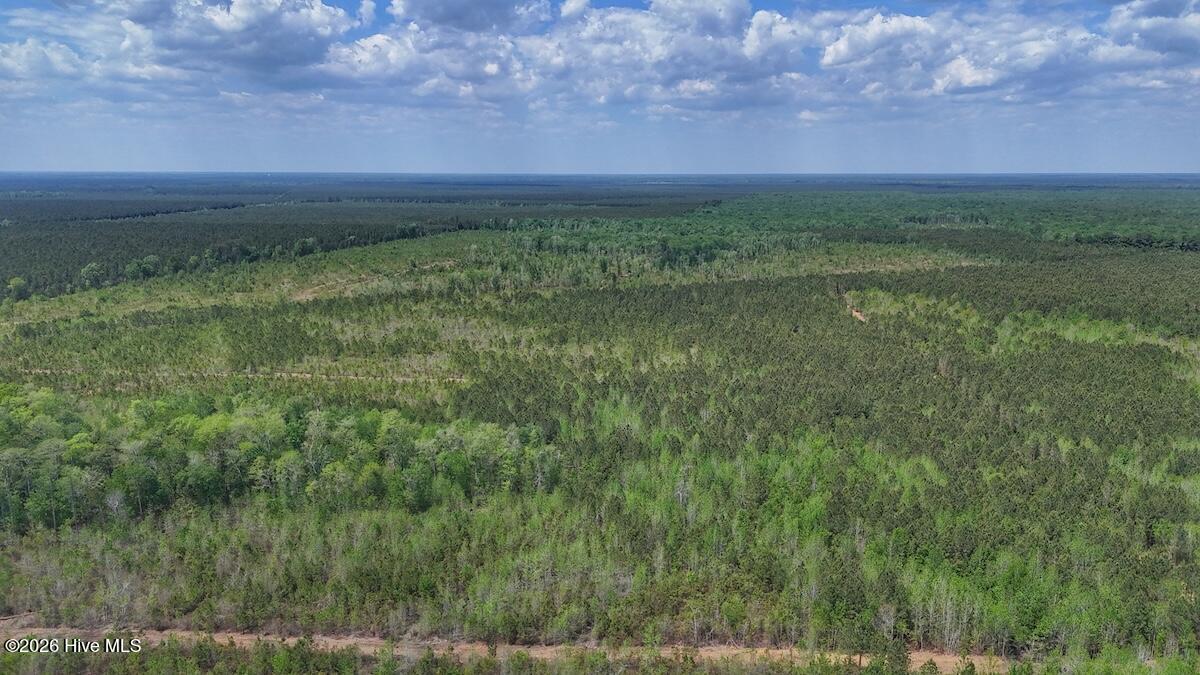 0 Guinea Mill Road, Ernul, NC, 28527