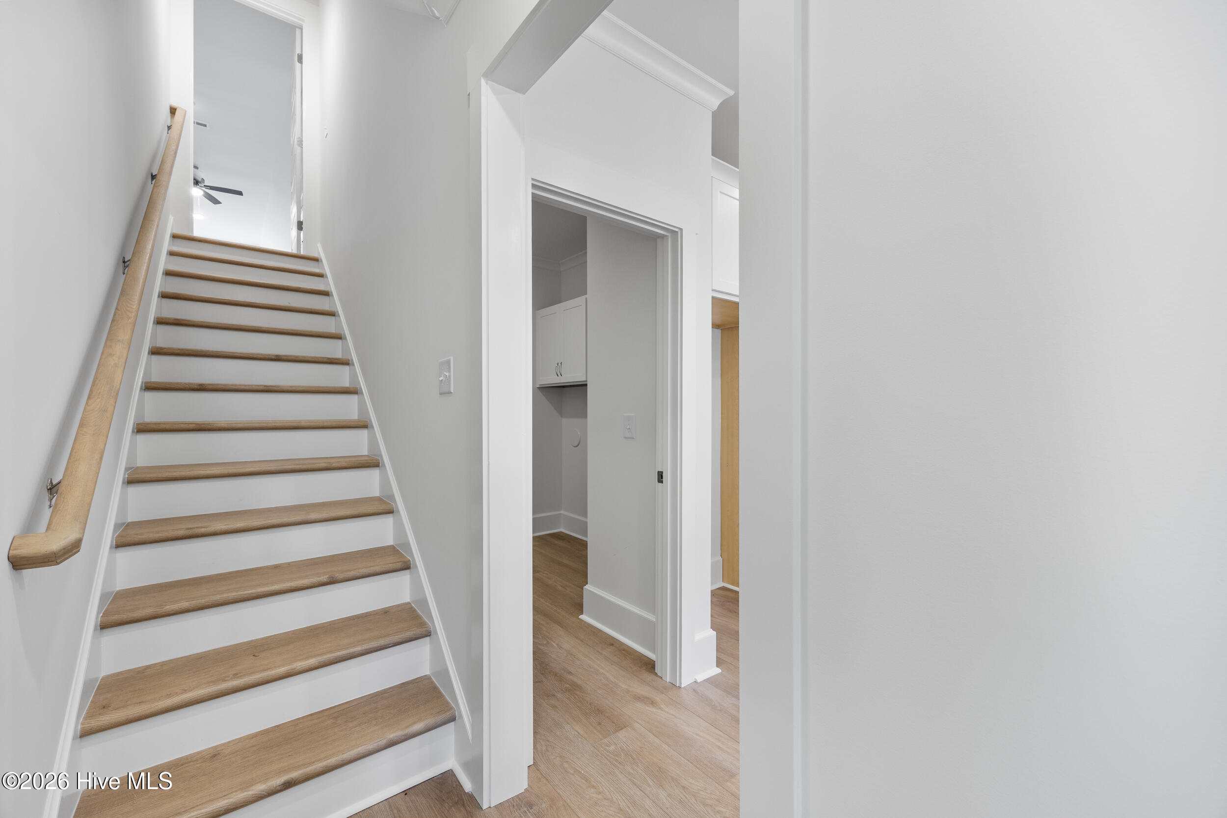 100554696 | Photo 33