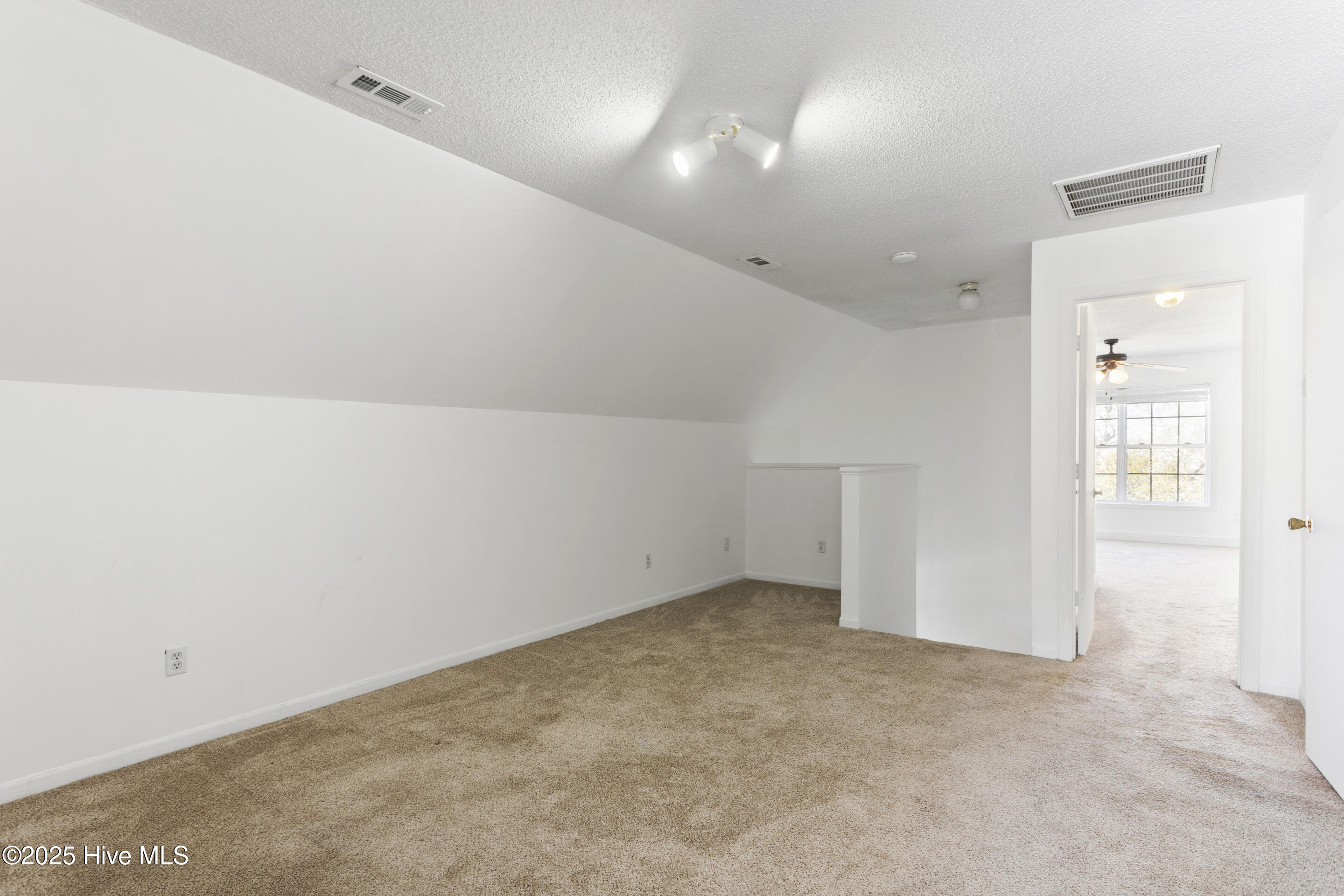 100548338 | Photo 27