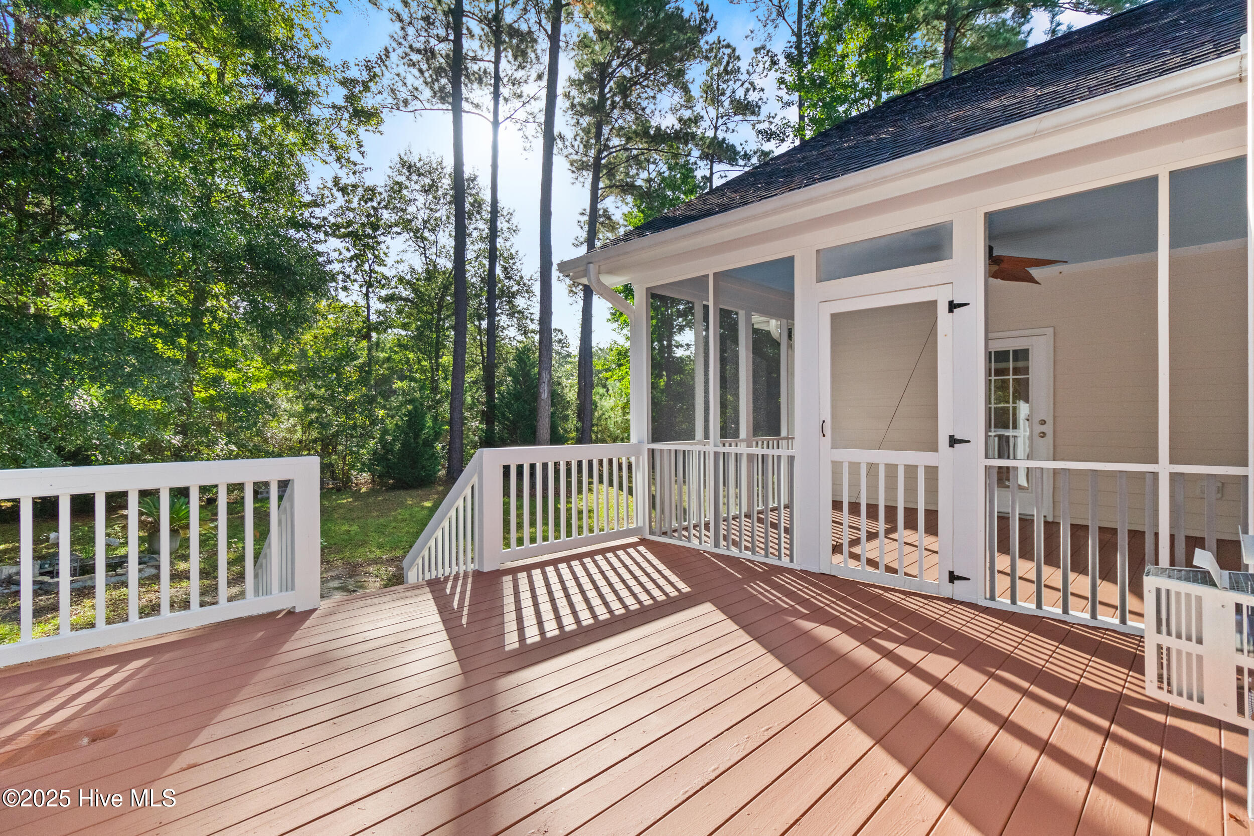 100534384 | Photo 42