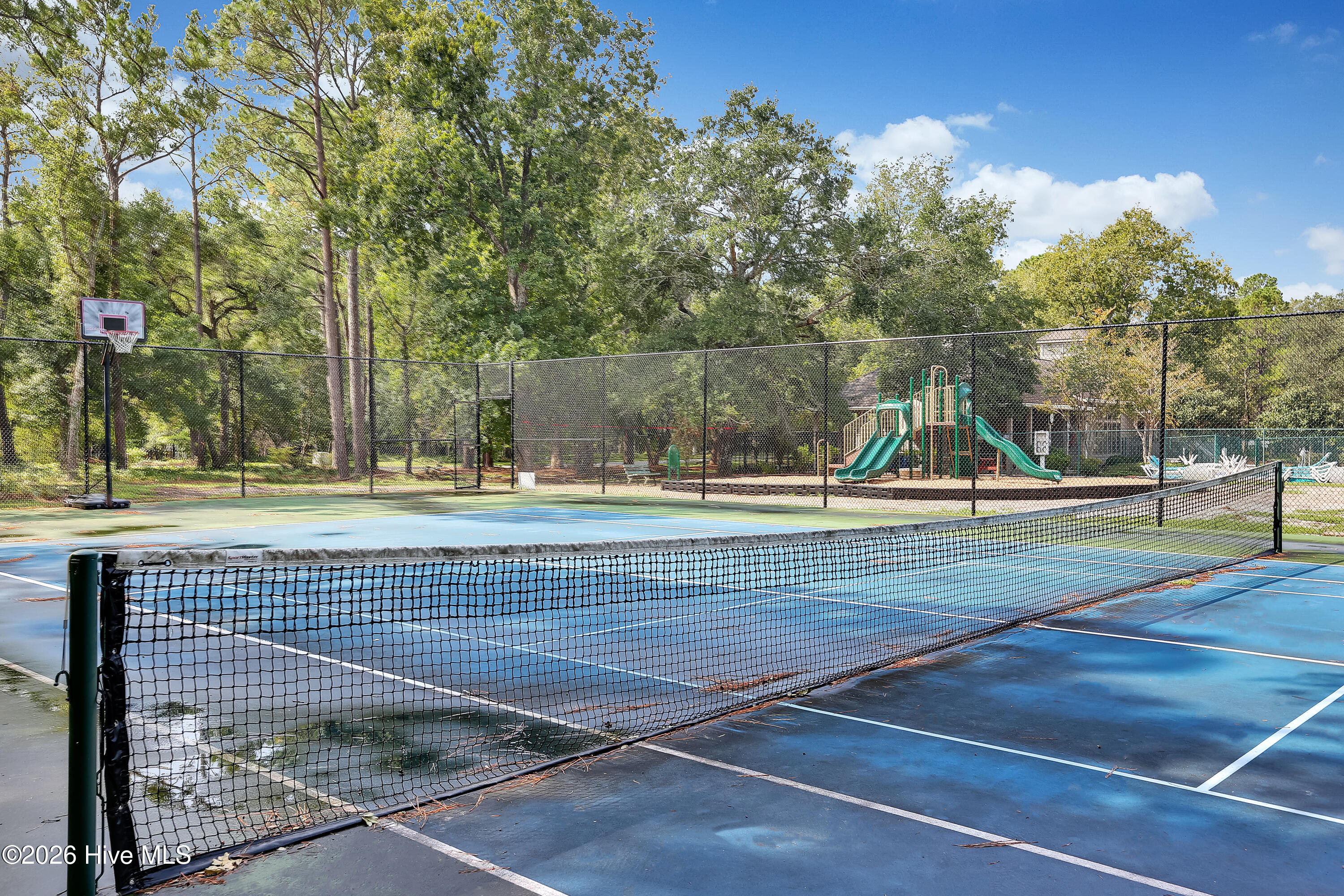 100567375 | Photo 65