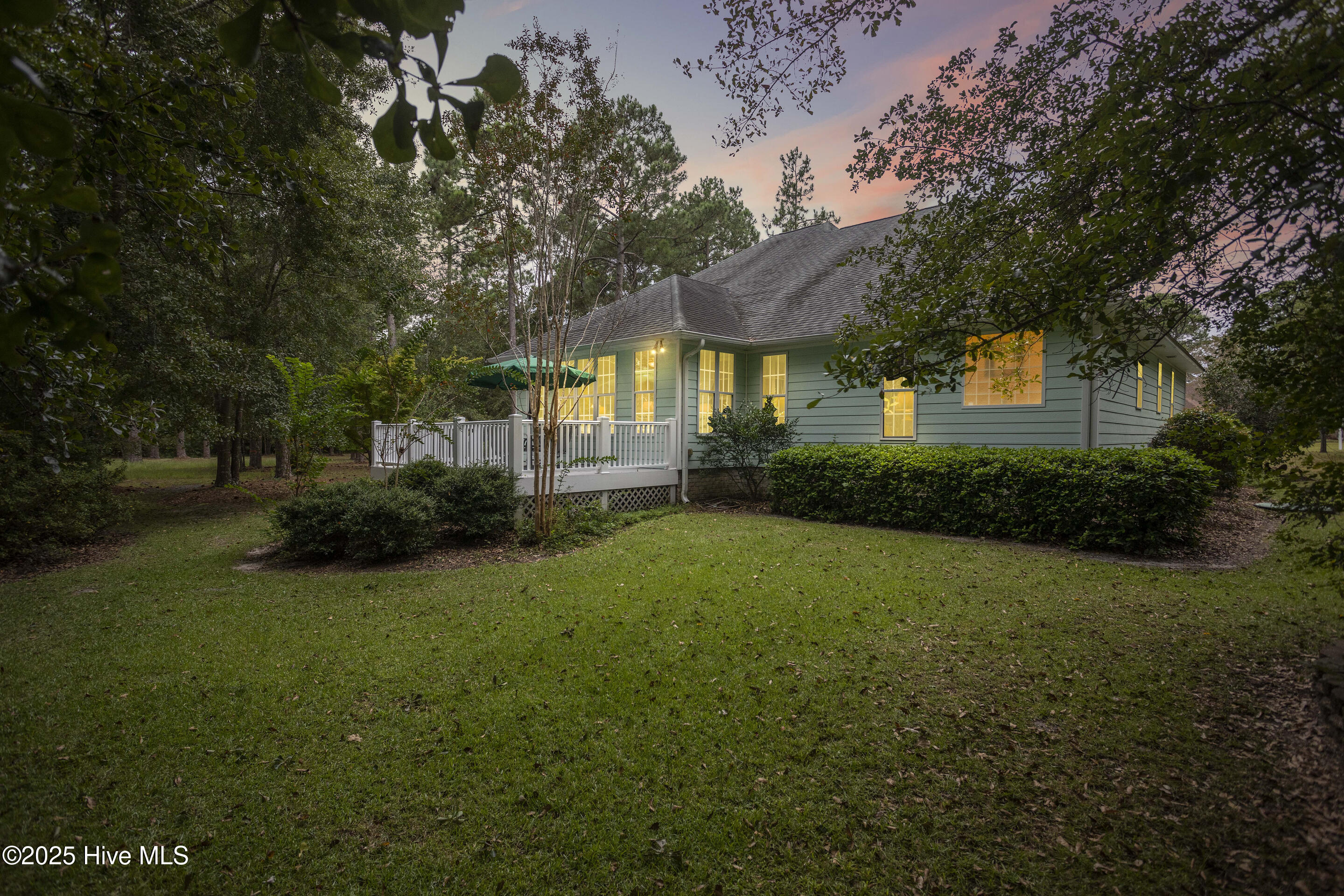 100528316 | Photo 57