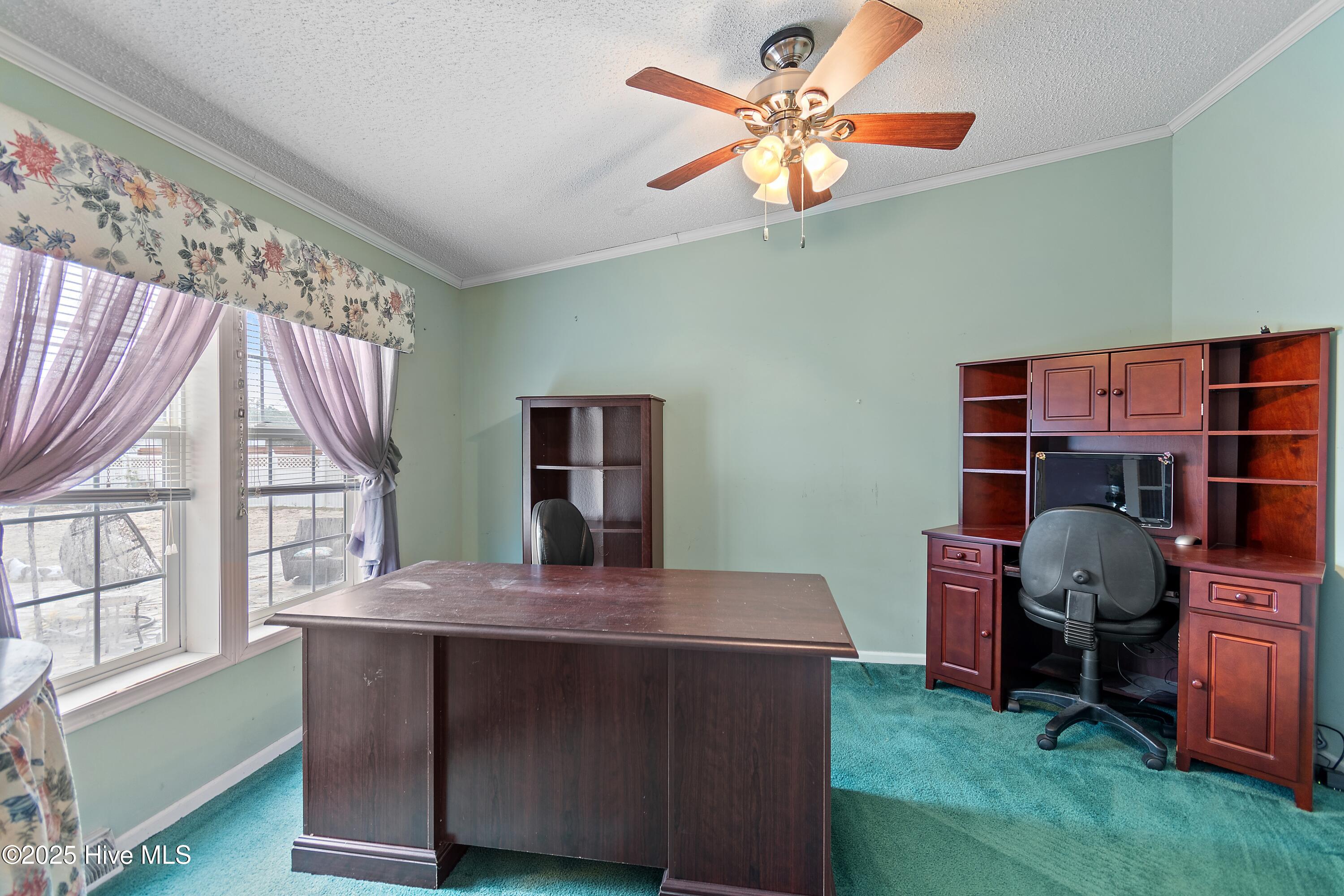 100542412 | Photo 33